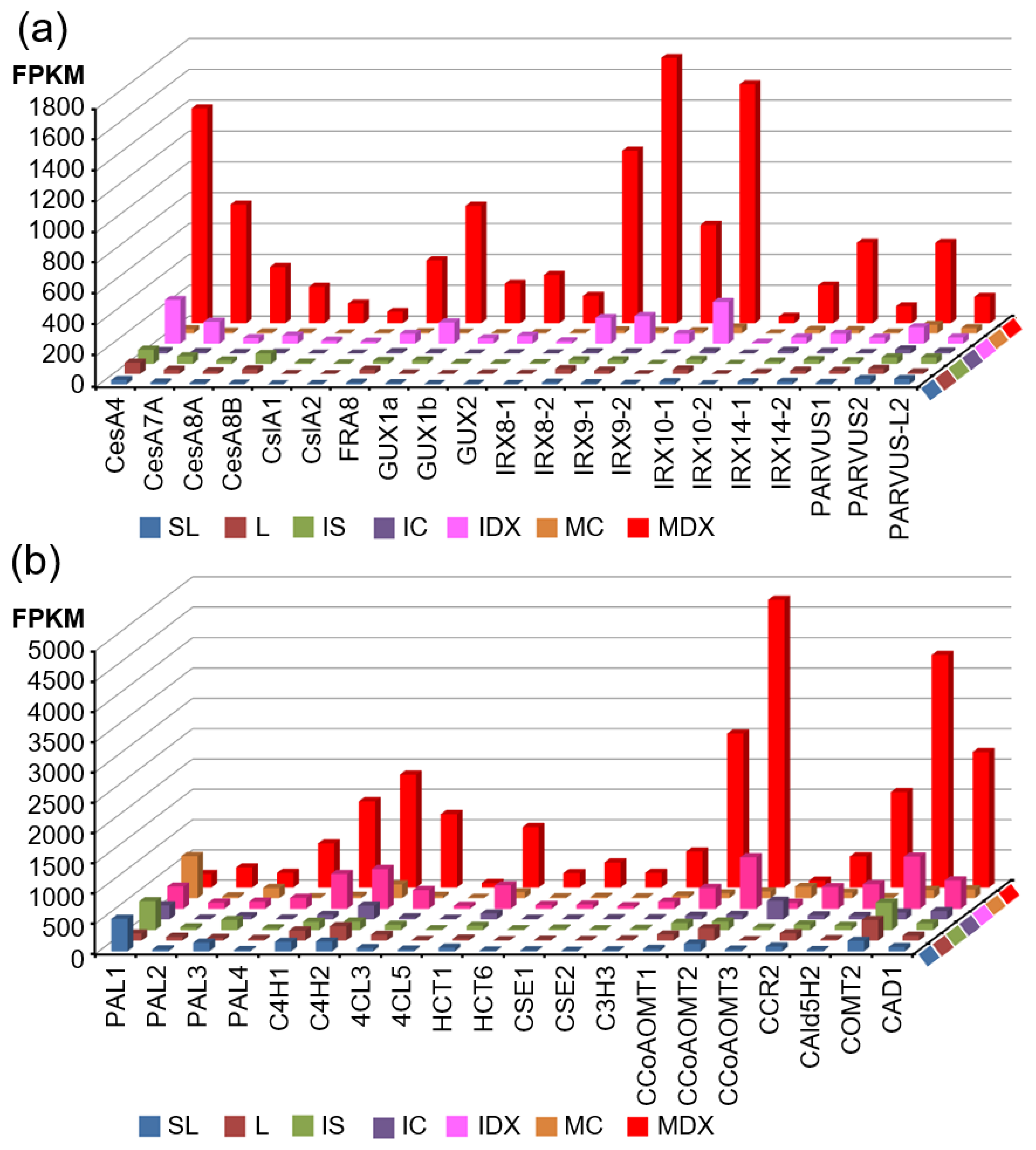 Genes 10 00690 g005