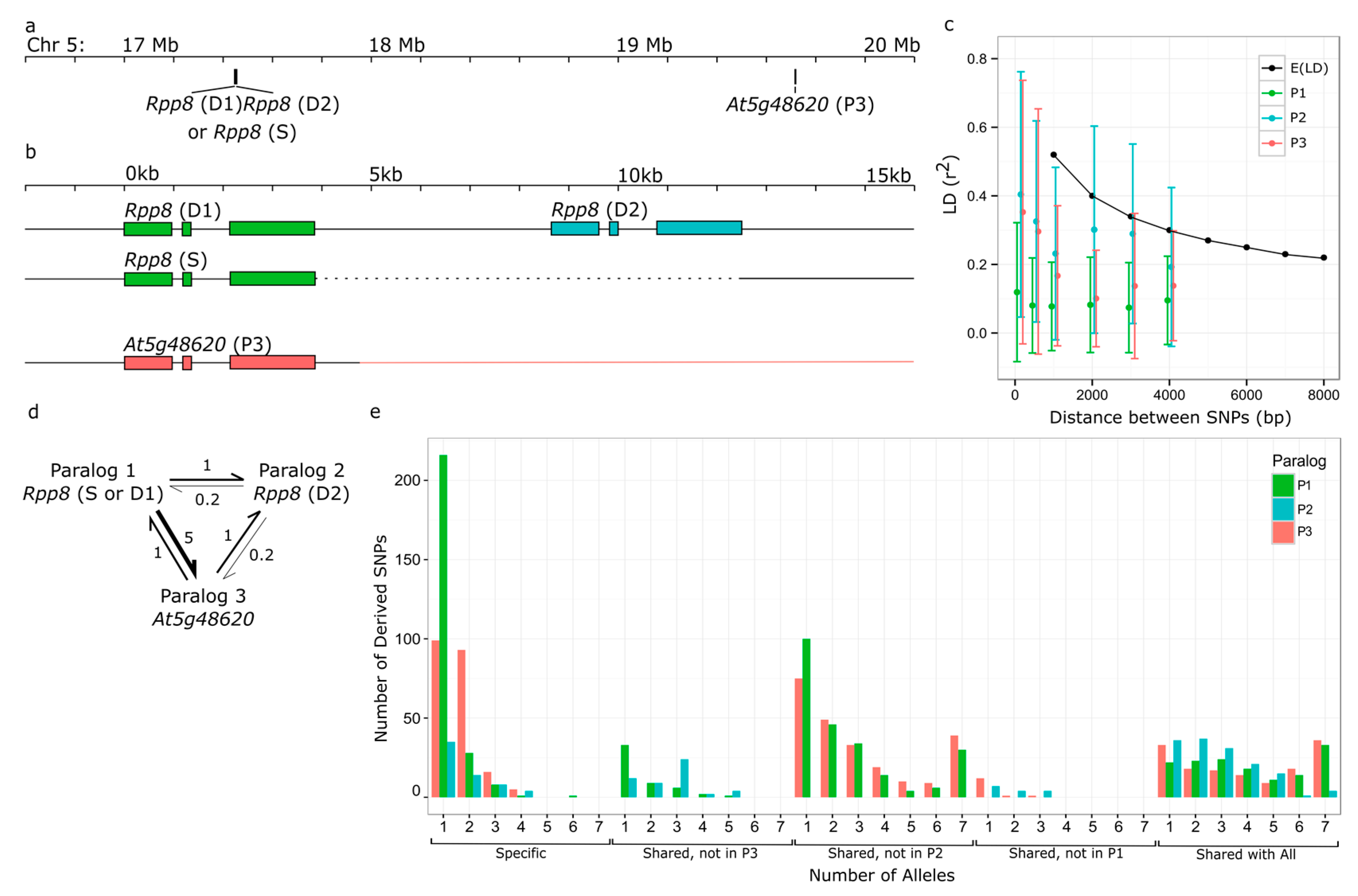Genes 10 00691 g001