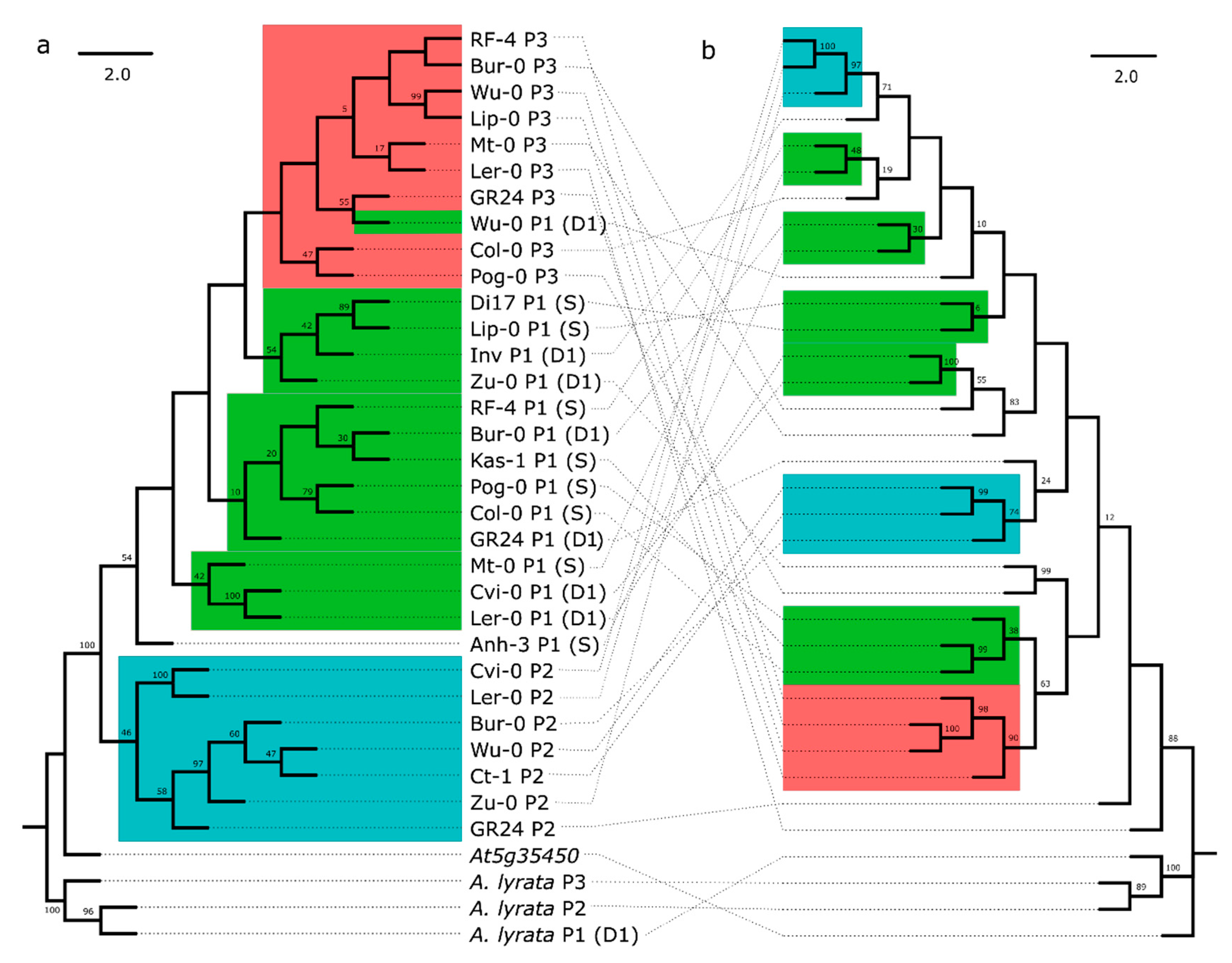 Genes 10 00691 g002