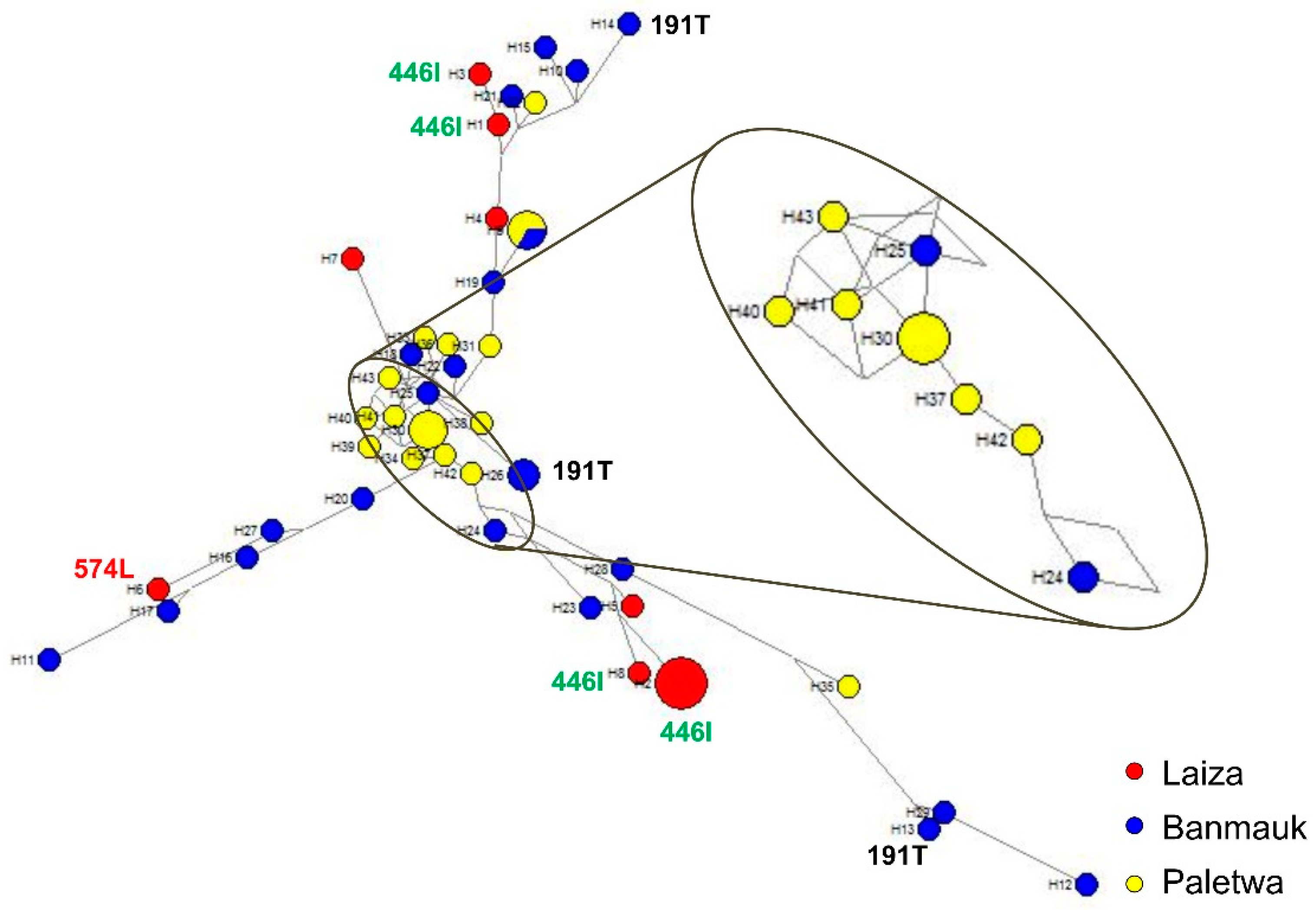 Genes 10 00692 g003