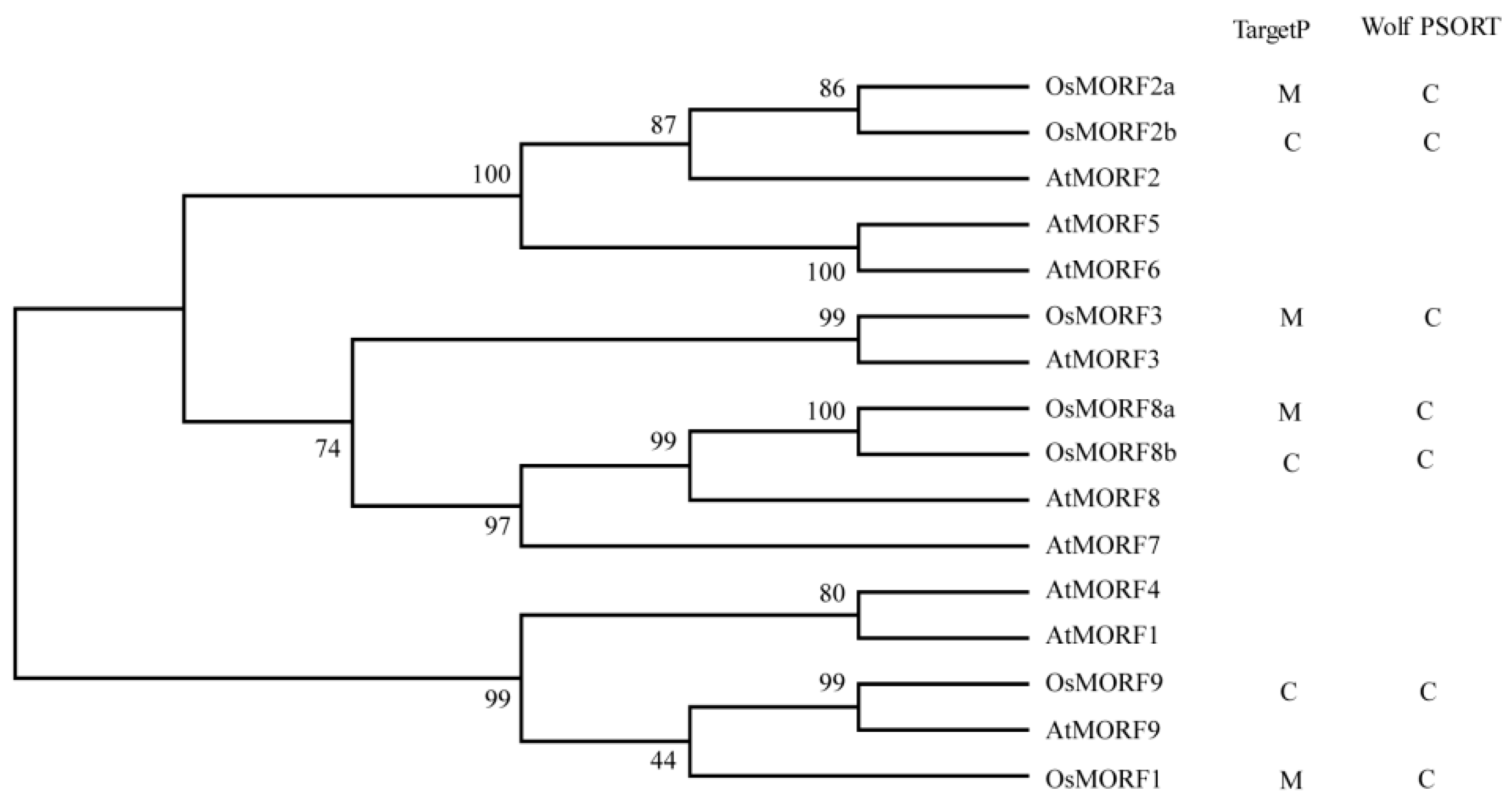 Genes 10 00694 g001