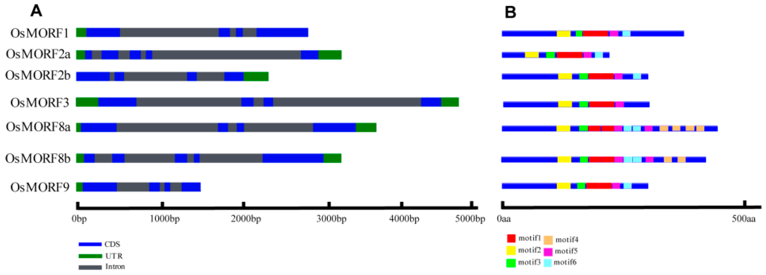 Genes 10 00694 g002