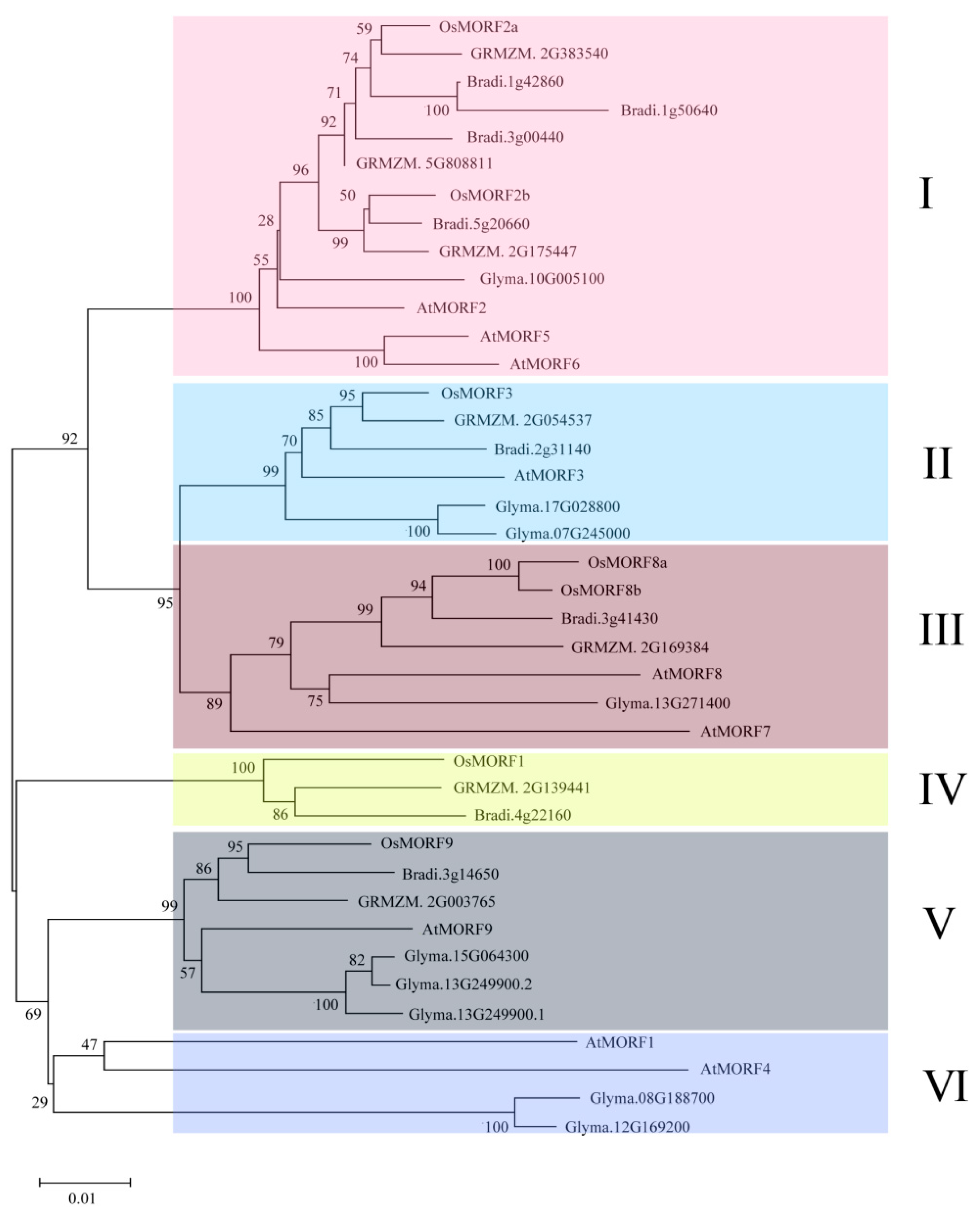 Genes 10 00694 g003