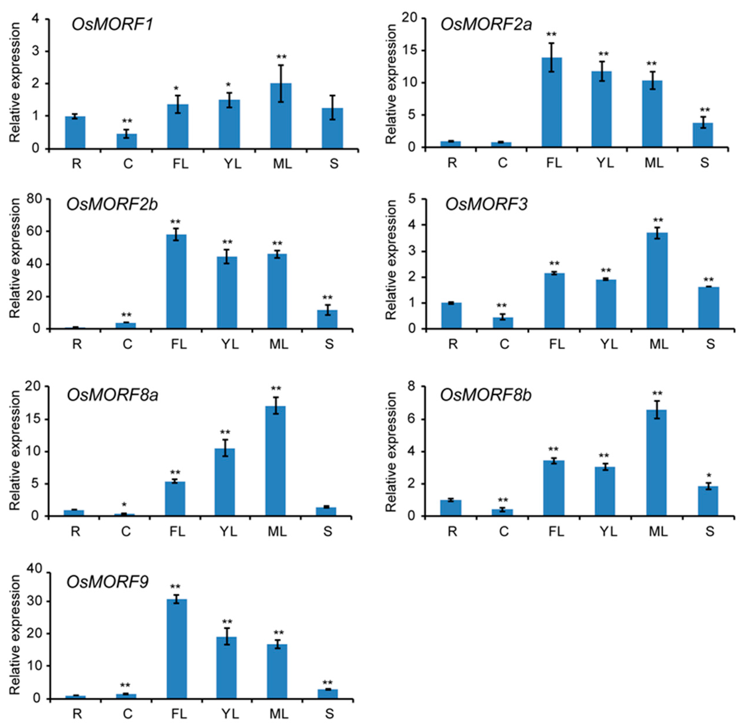 Genes 10 00694 g005