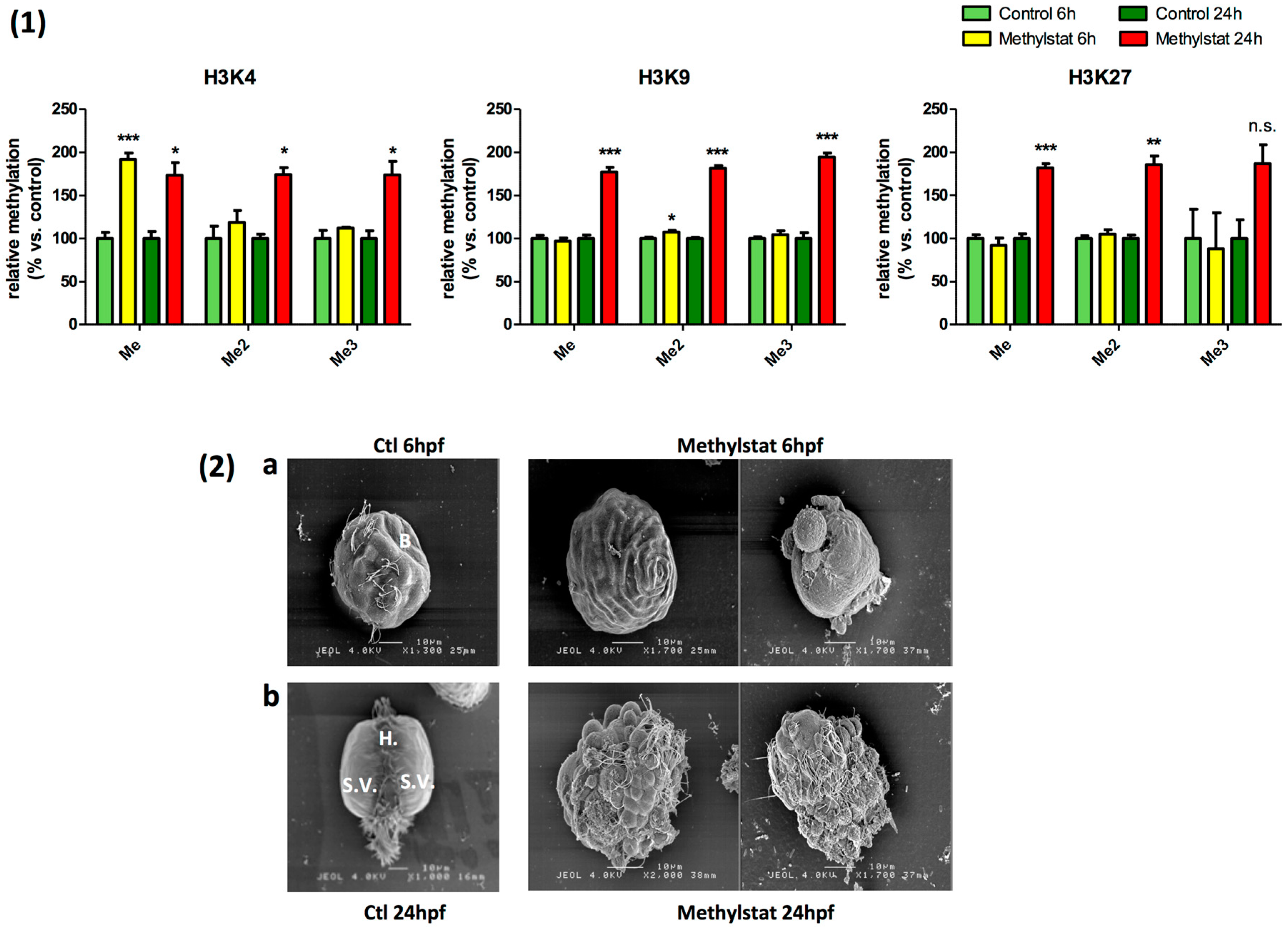 Genes 10 00695 g002