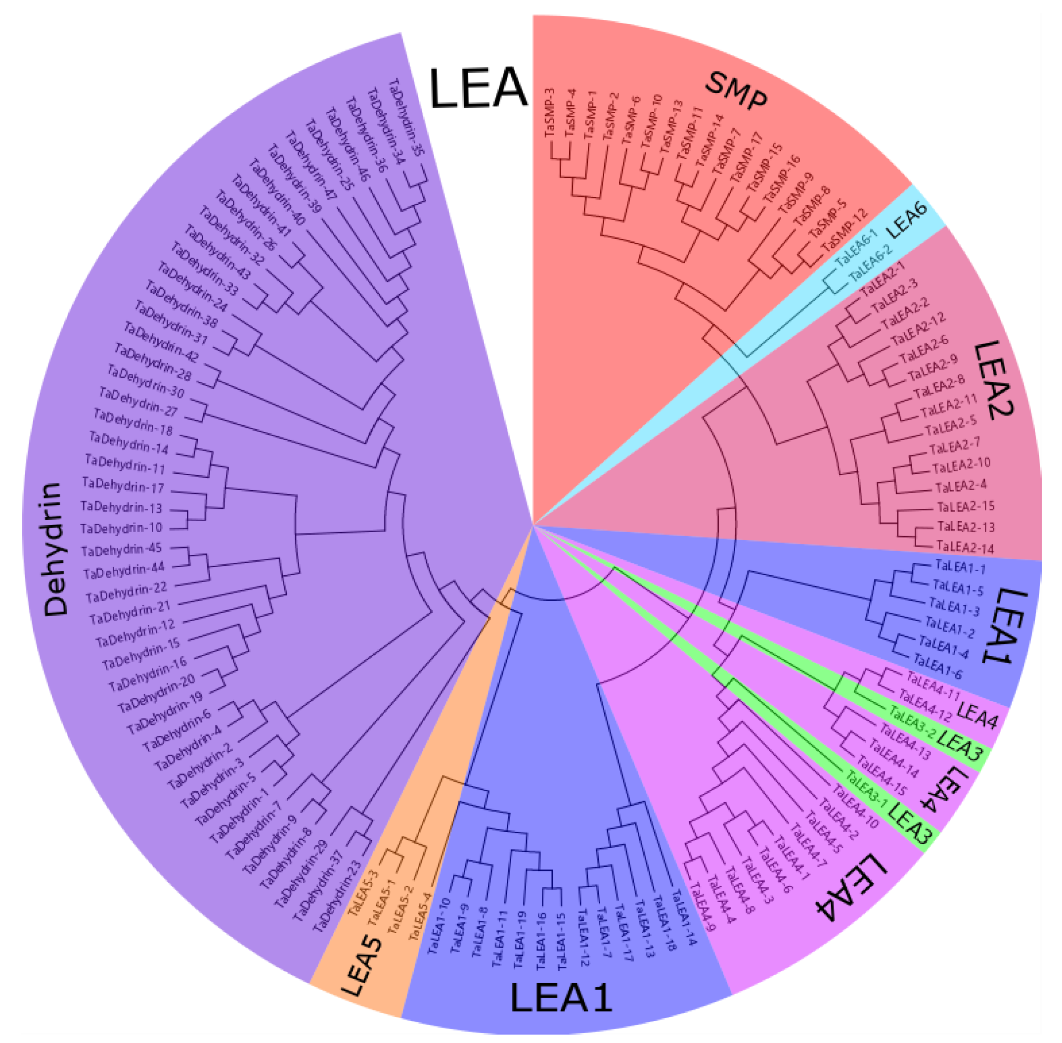 Genes 10 00696 g001