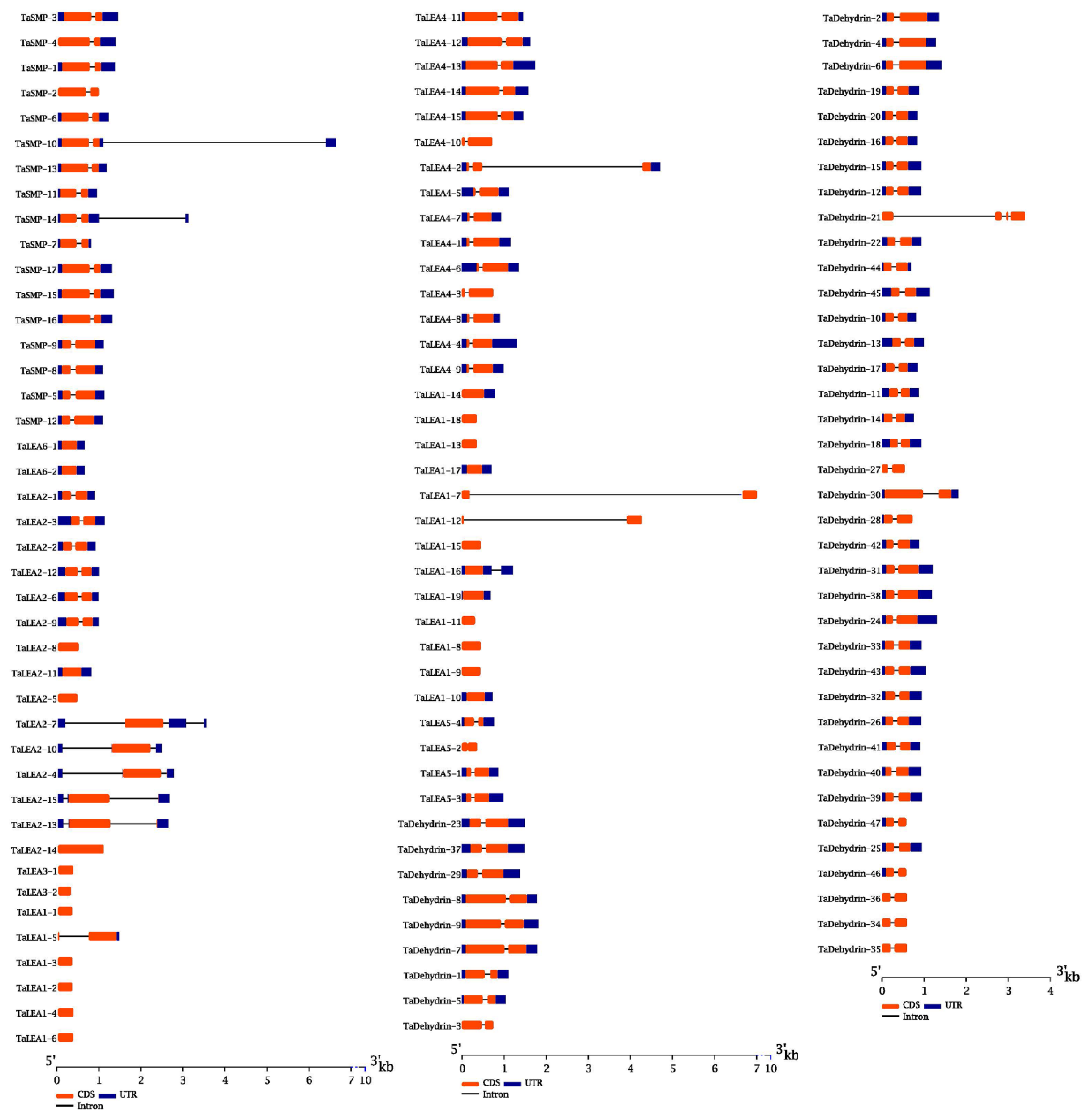 Genes 10 00696 g002