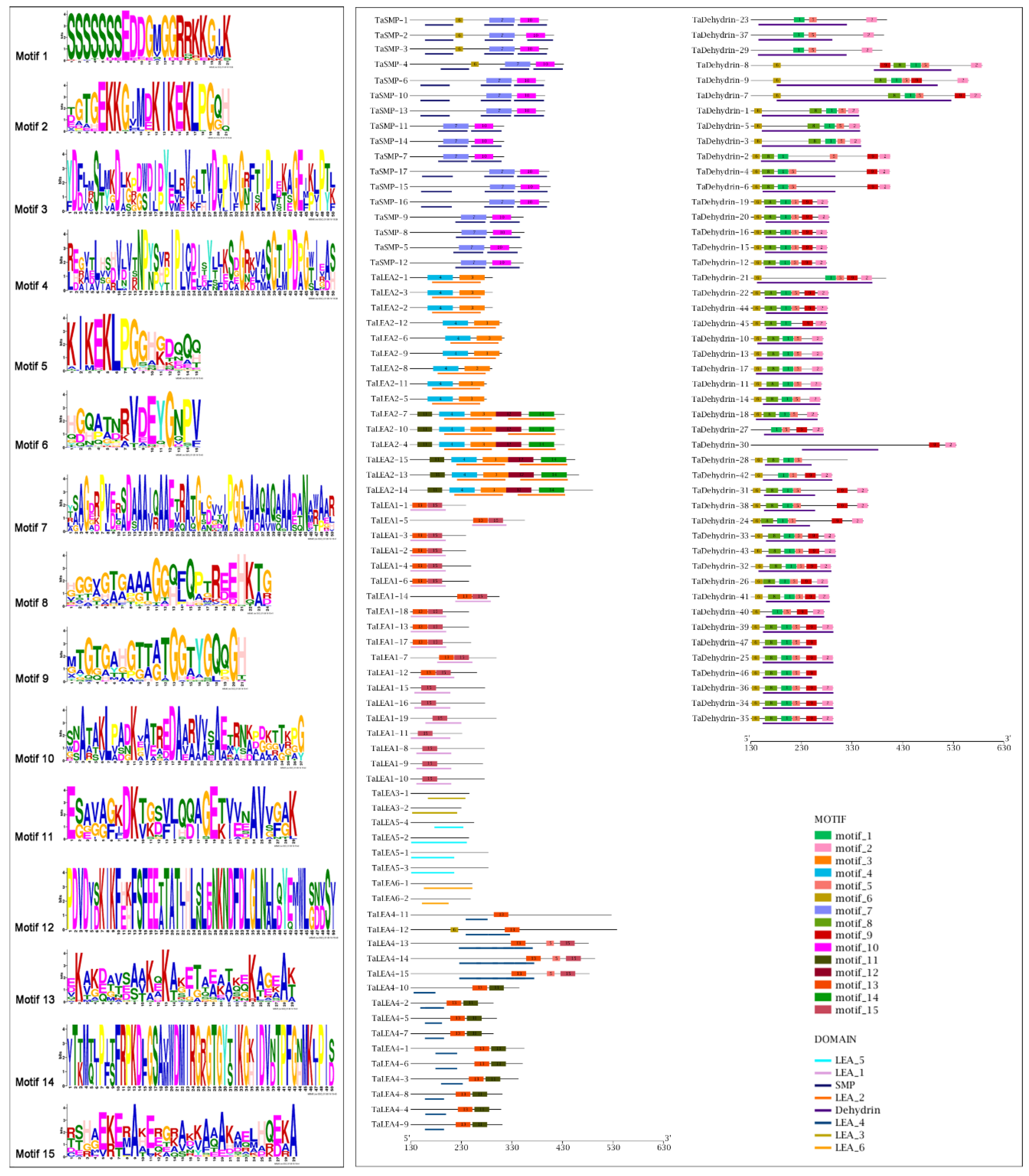 Genes 10 00696 g003