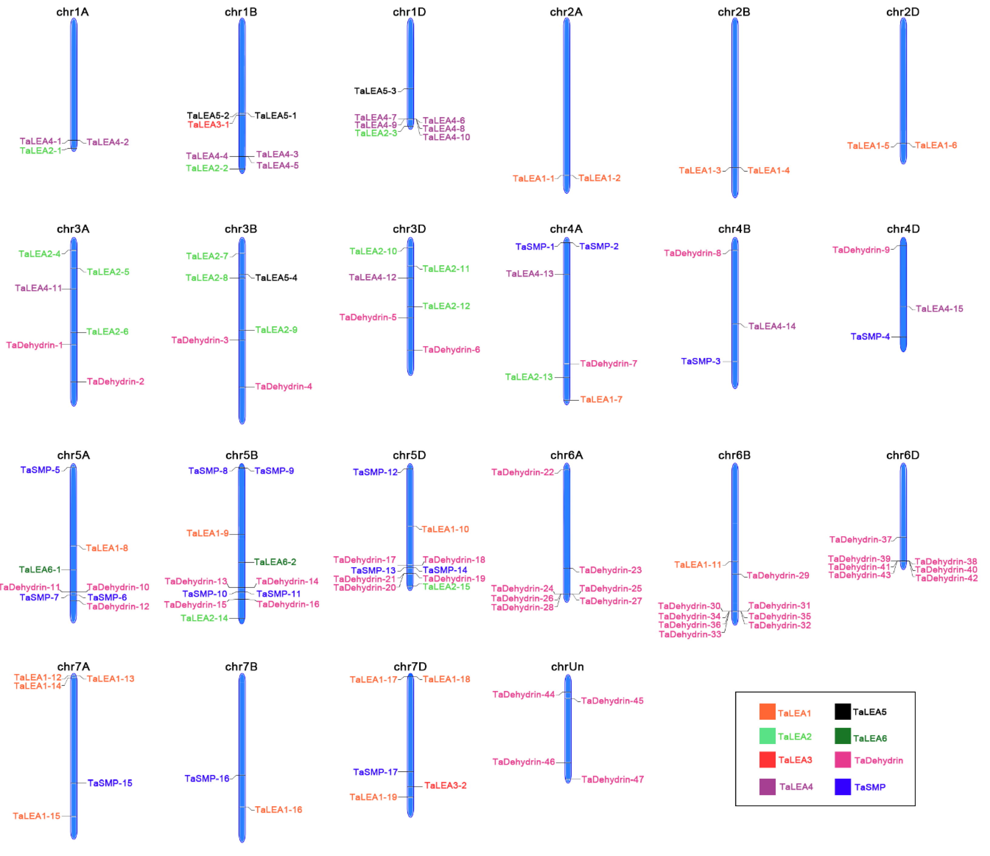 Genes 10 00696 g004