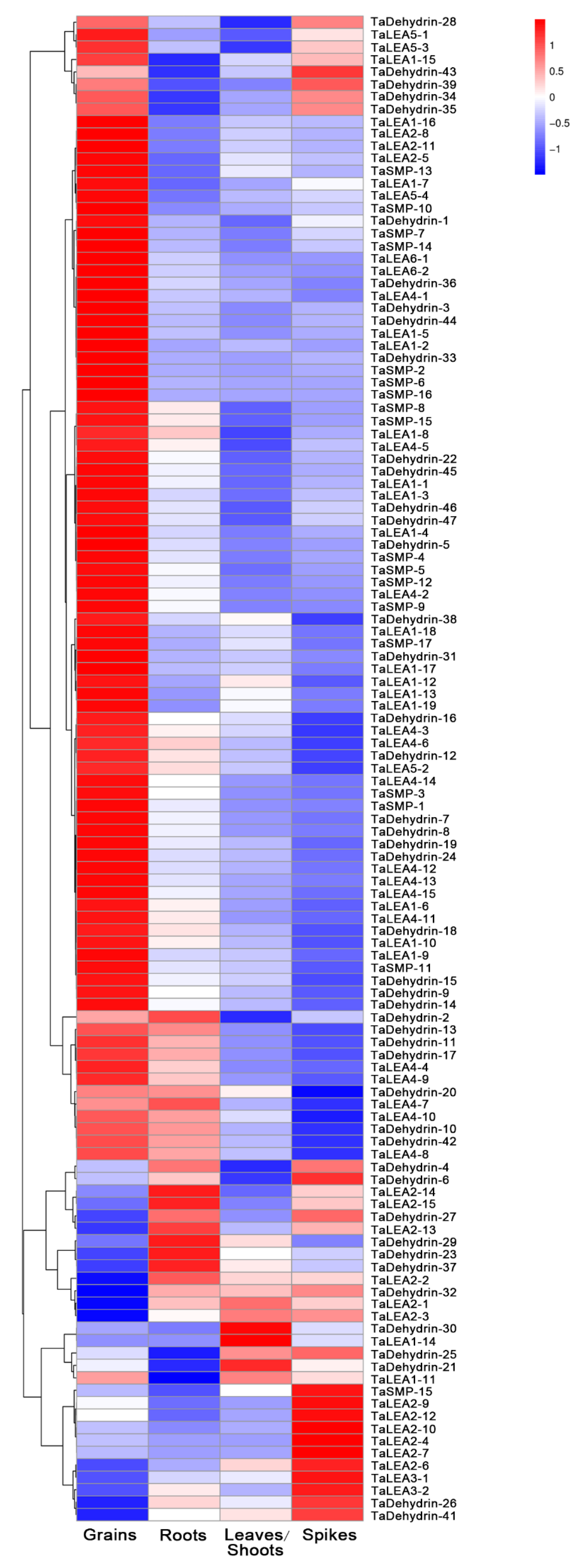 Genes 10 00696 g005