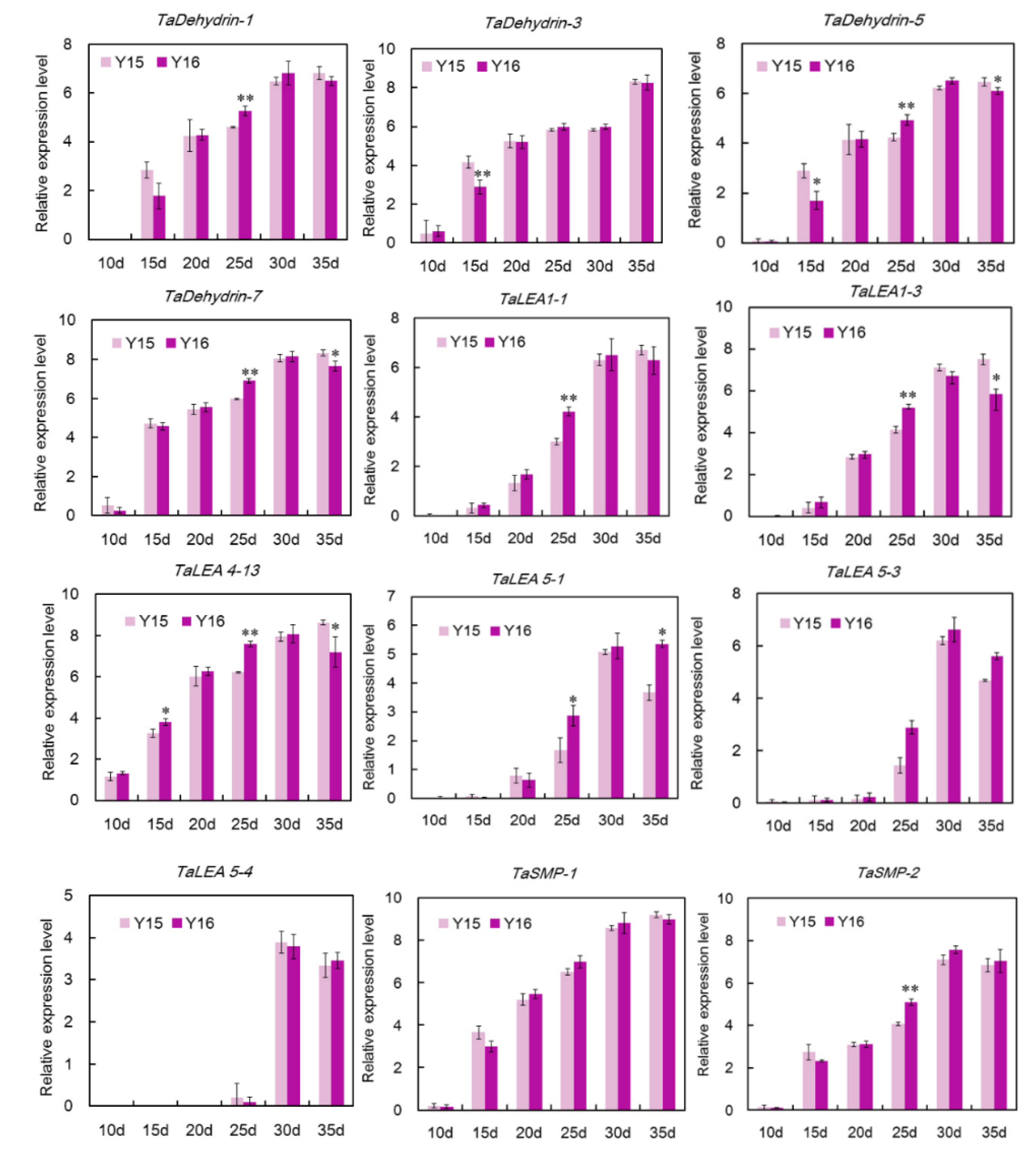 Genes 10 00696 g006