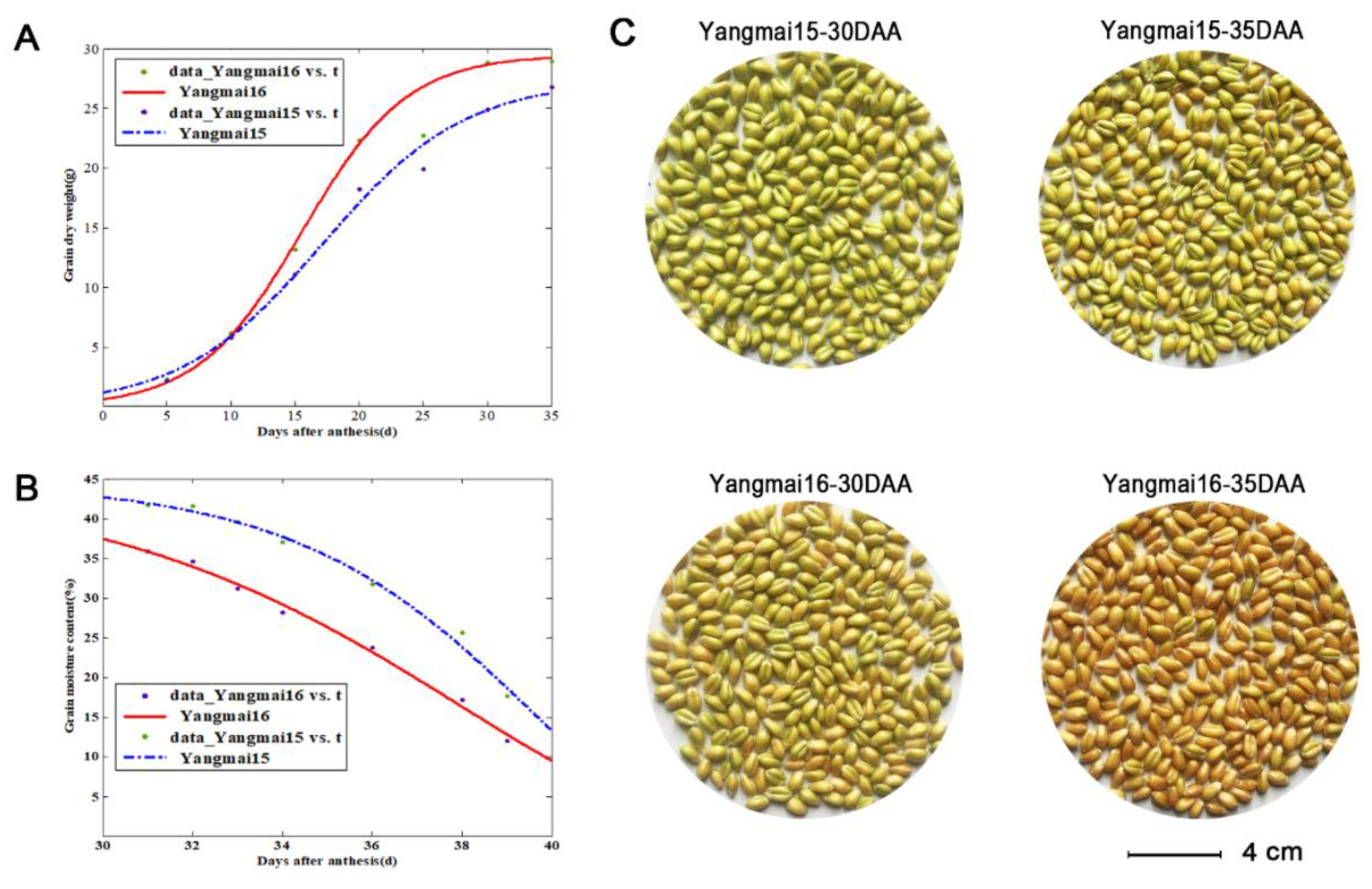 Genes 10 00696 g007