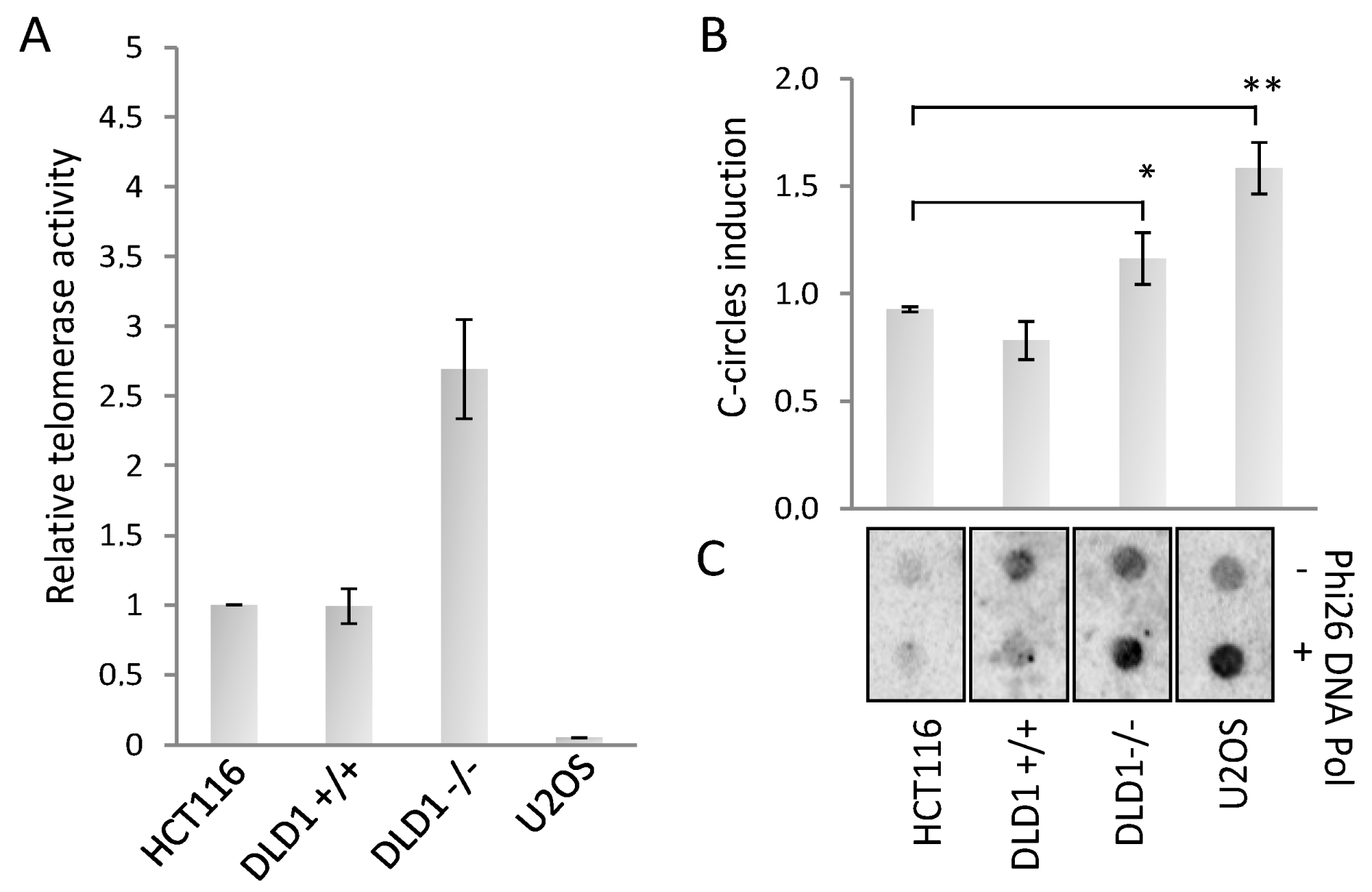 Genes 10 00697 g002