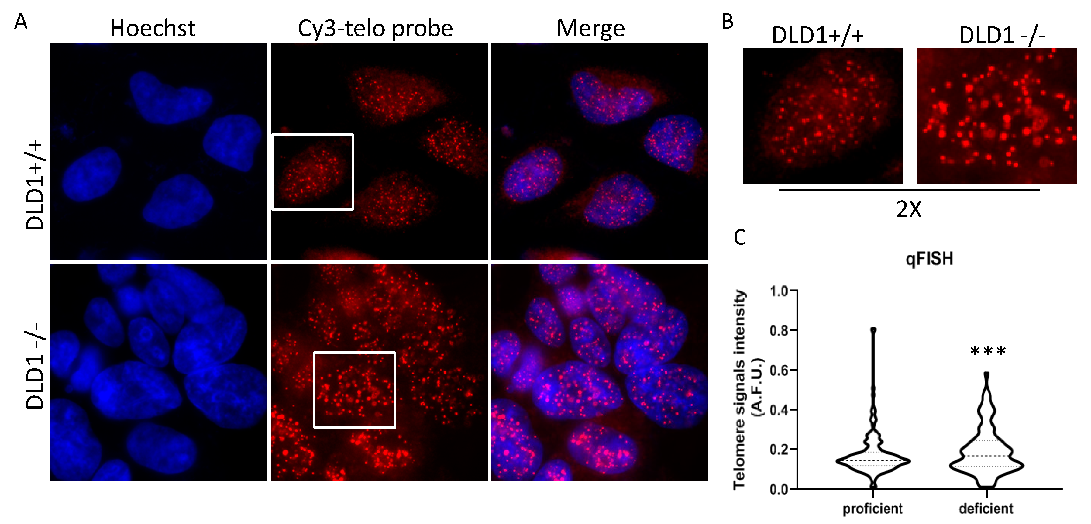 Genes 10 00697 g003