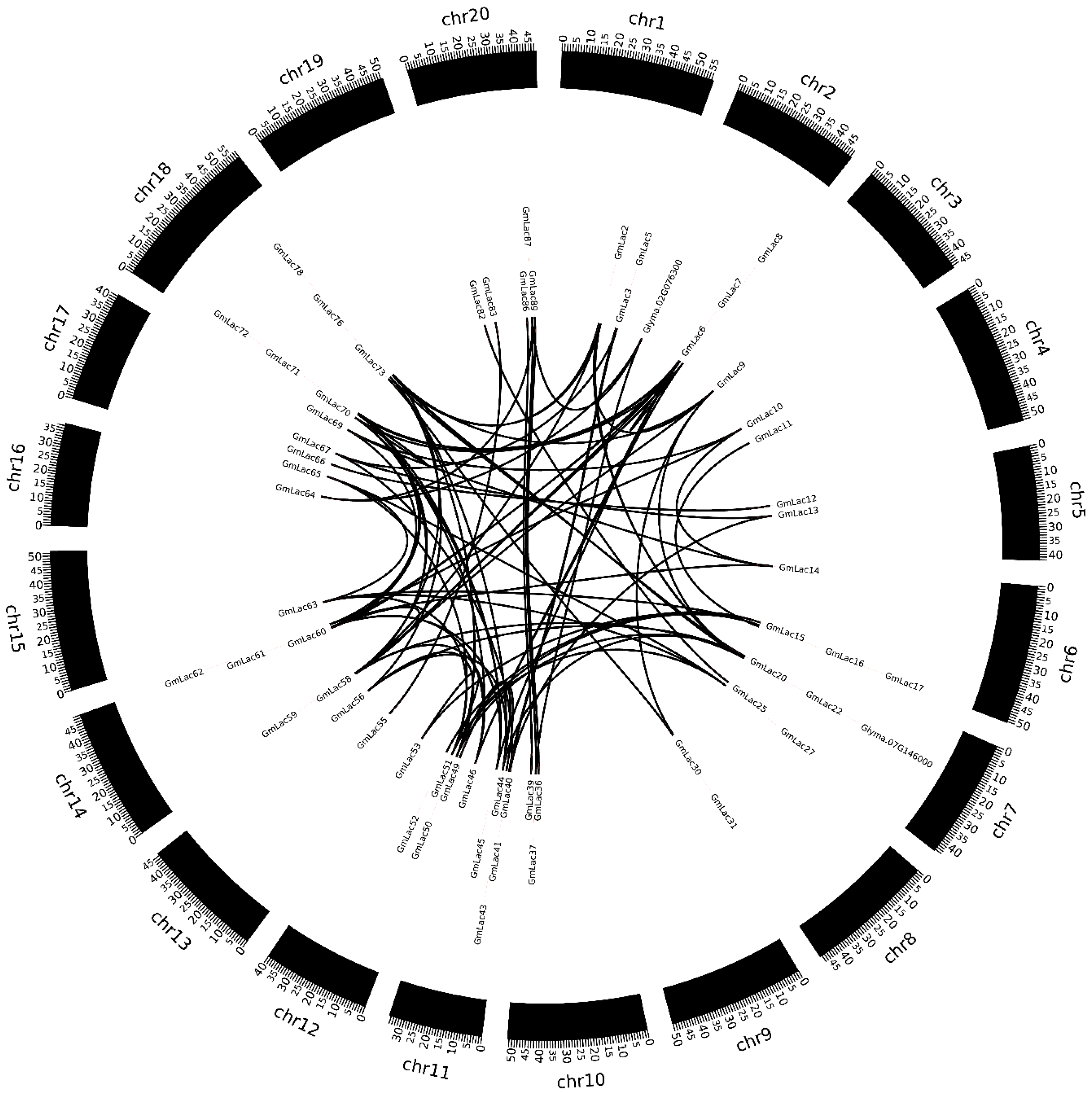 Genes 10 00701 g003 Genes 10 00701 g003