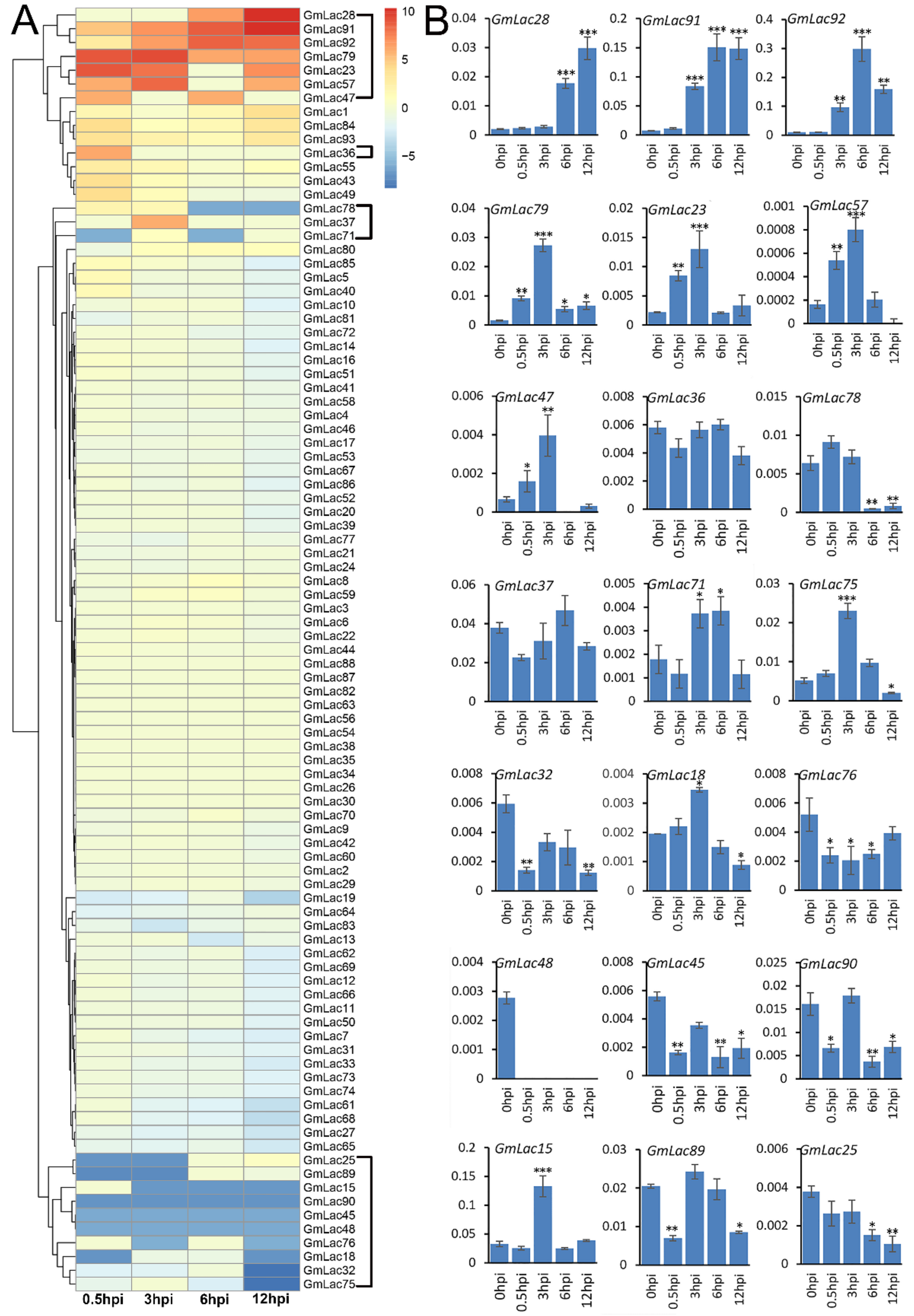Genes 10 00701 g005 Genes 10 00701 g005