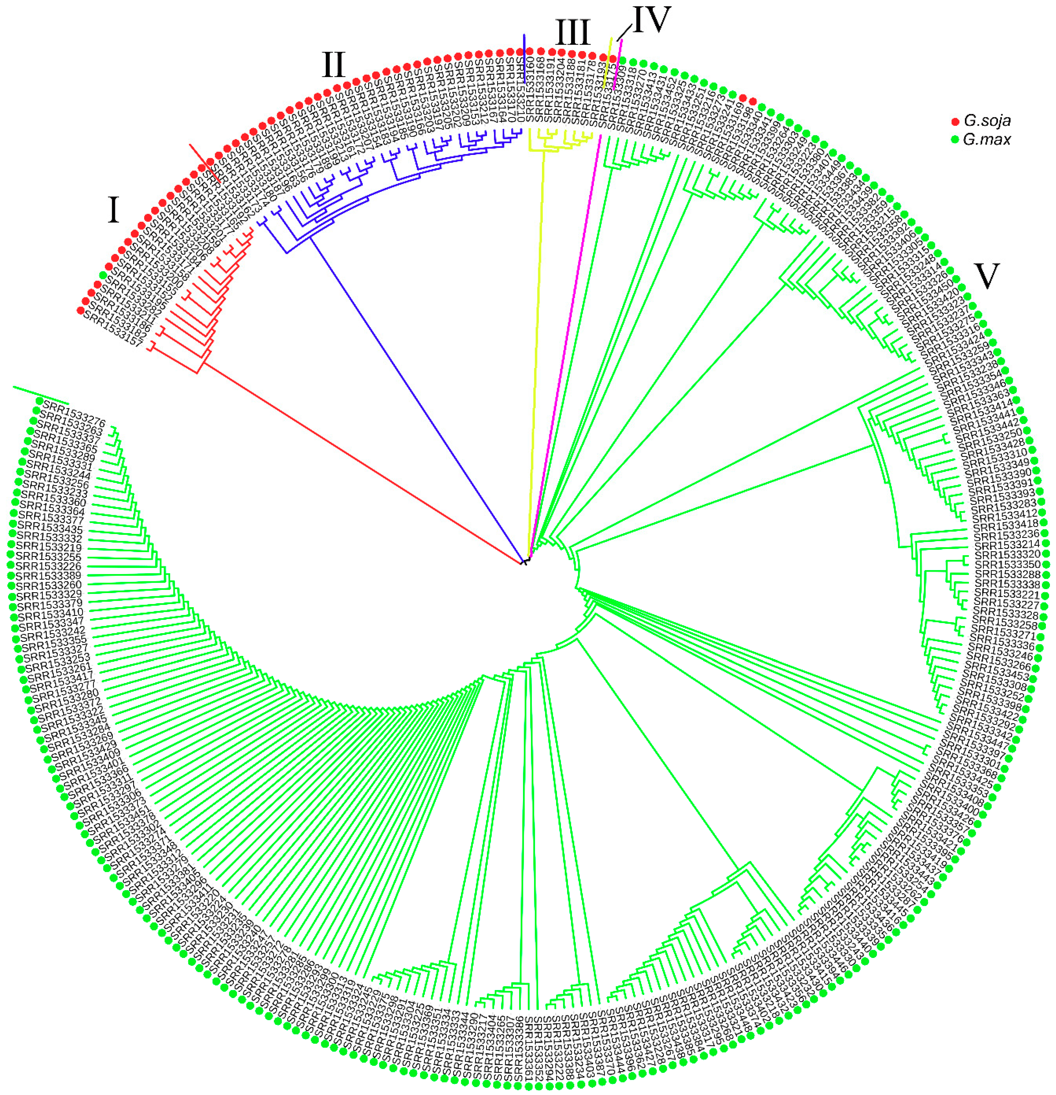 Genes 10 00701 g007 Genes 10 00701 g007