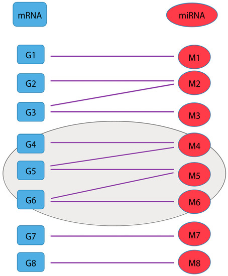 Identifying Interaction Clusters for MiRNA and MRNA Pairs in