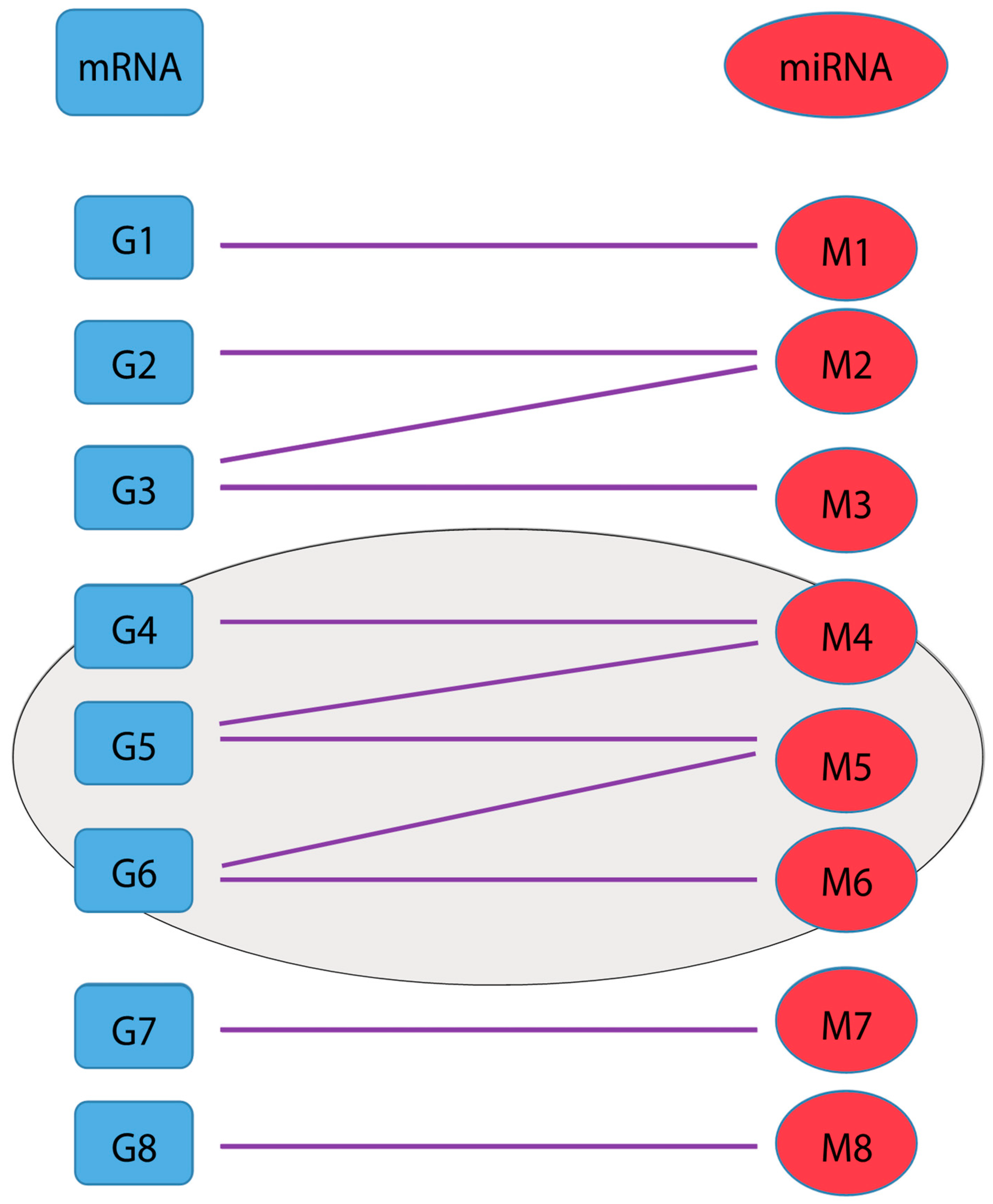 Genes | Free Full-Text | Identifying Interaction Clusters for 