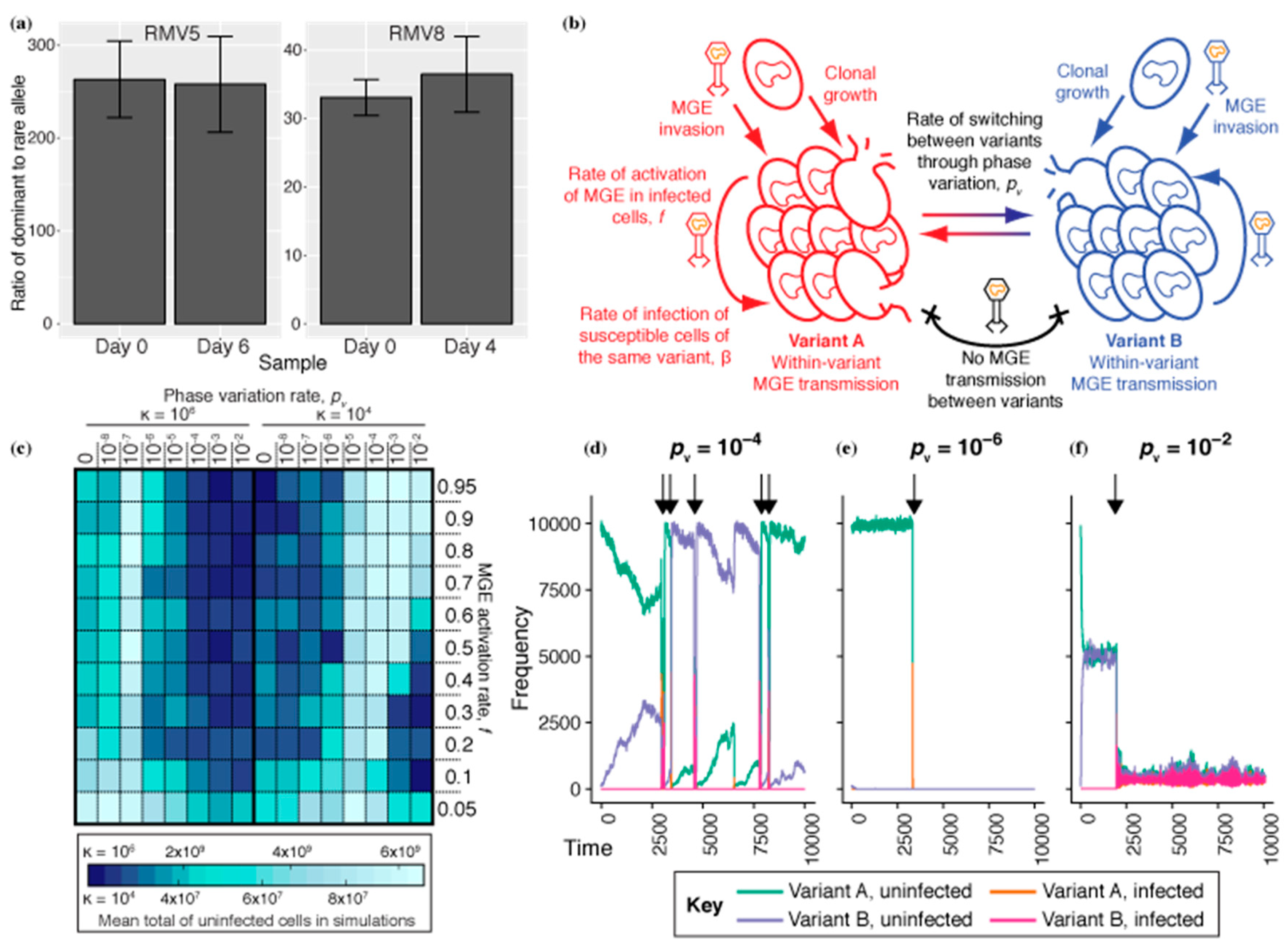 Genes 10 00707 g001 Genes 10 00707 g001