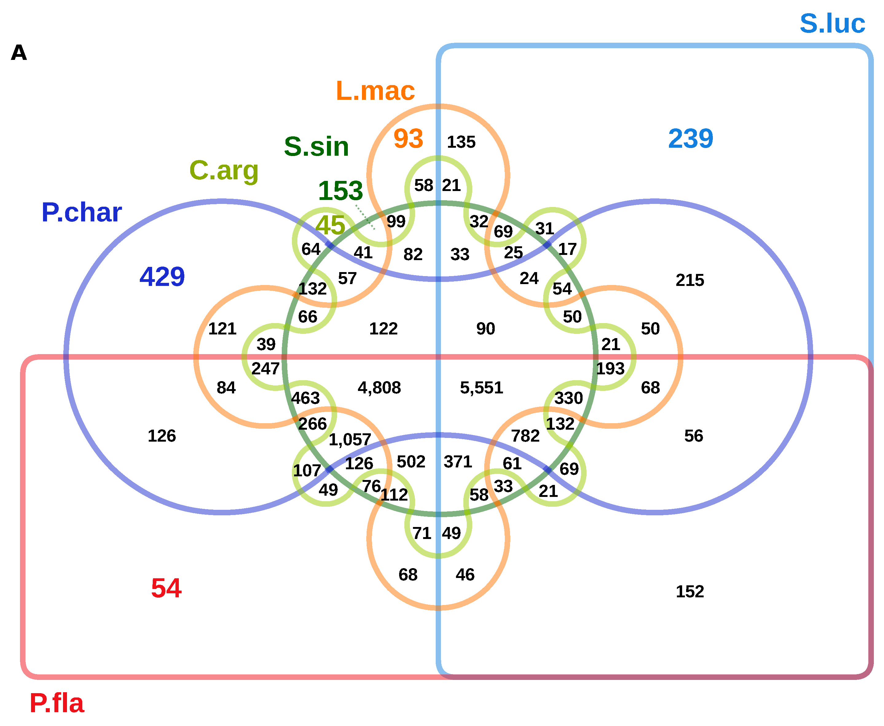Genes 10 00708 g004a