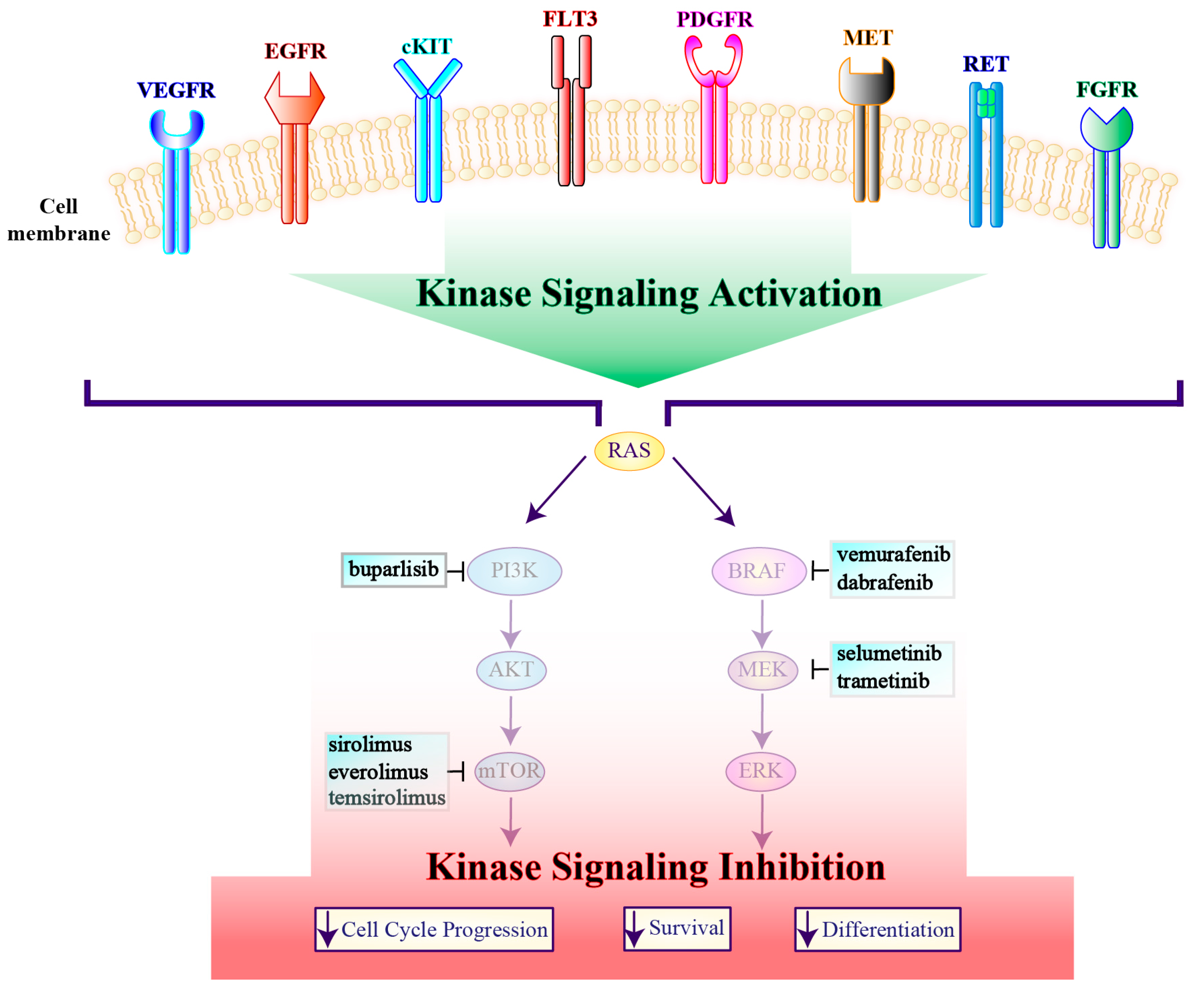 Genes 10 00709 g006