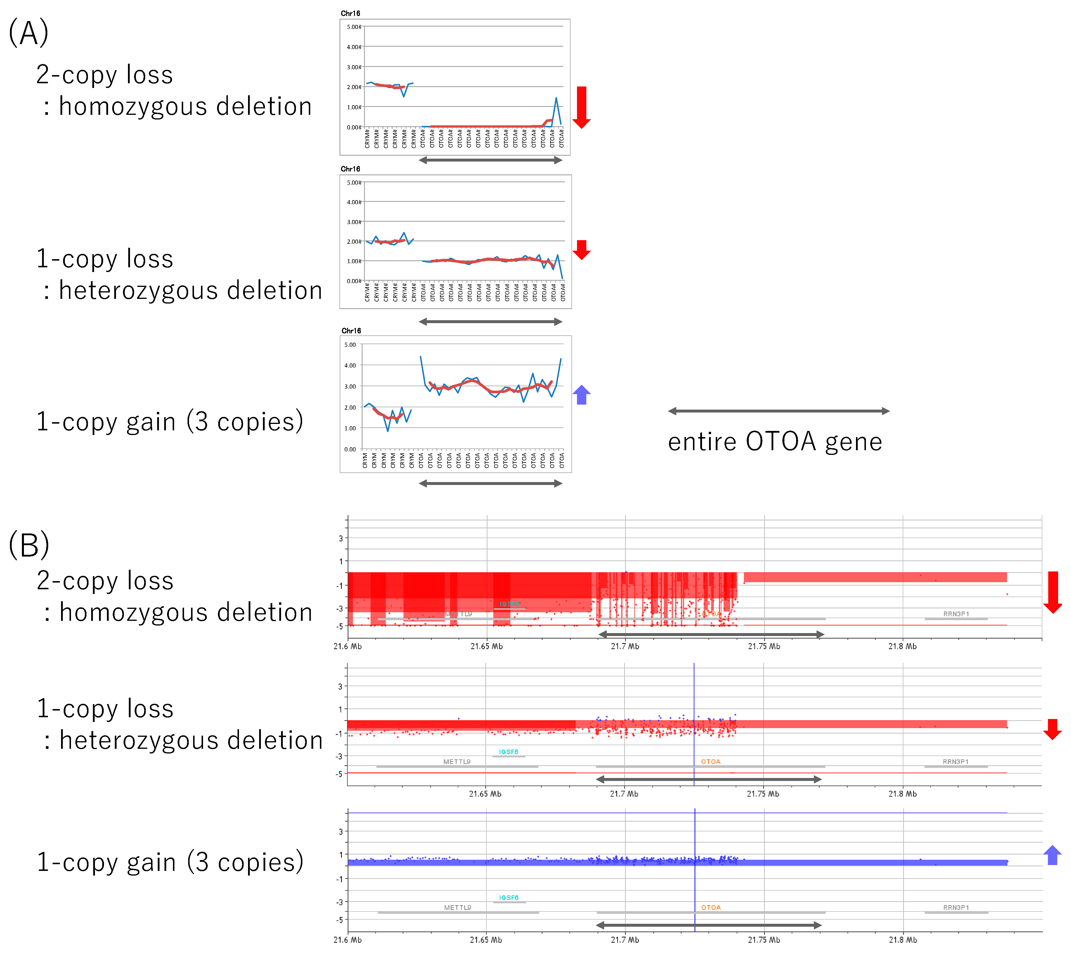Genes 10 00715 g002 Genes 10 00715 g002