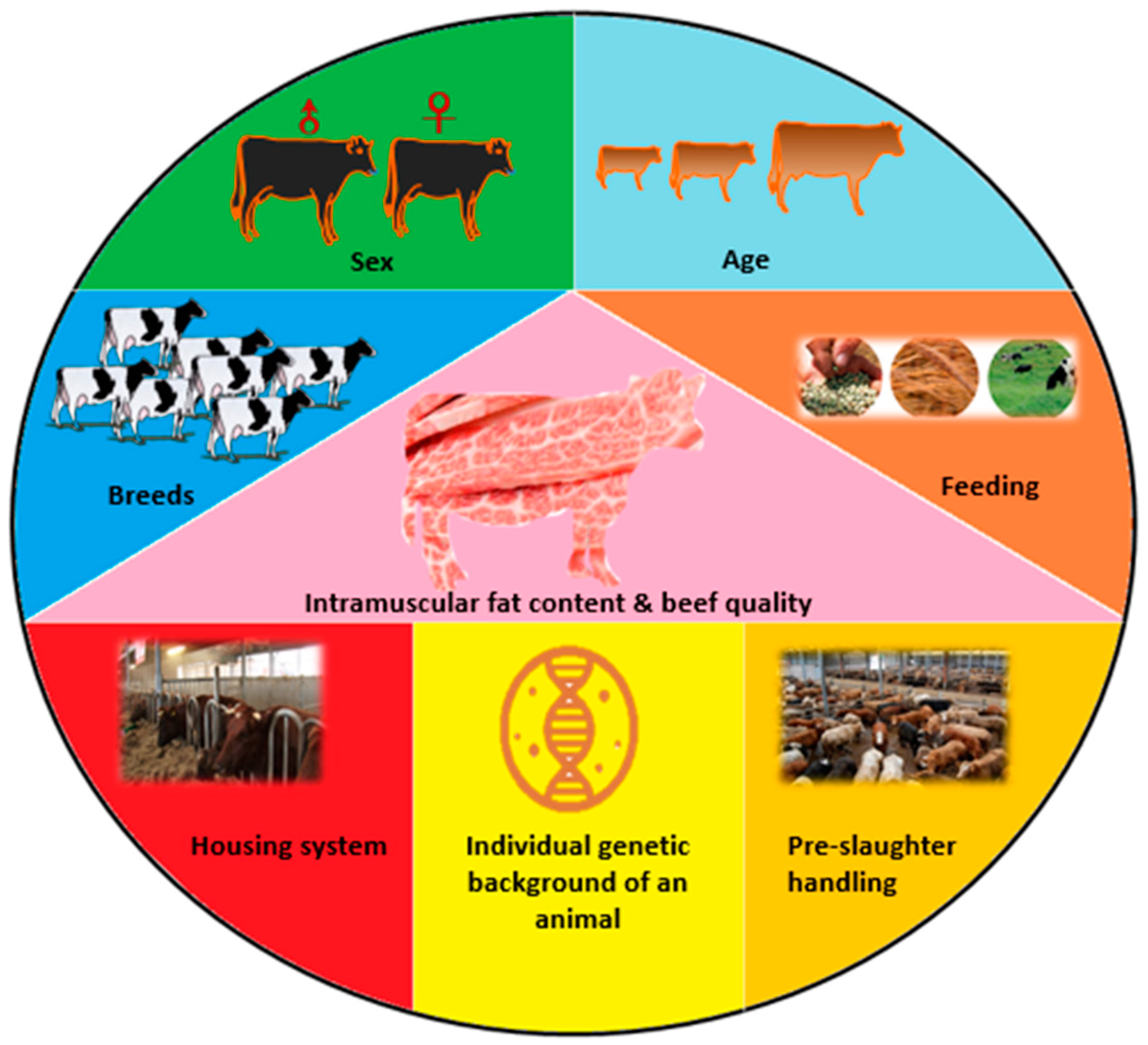 Genes Free FullText Advances of Molecular Markers and Their