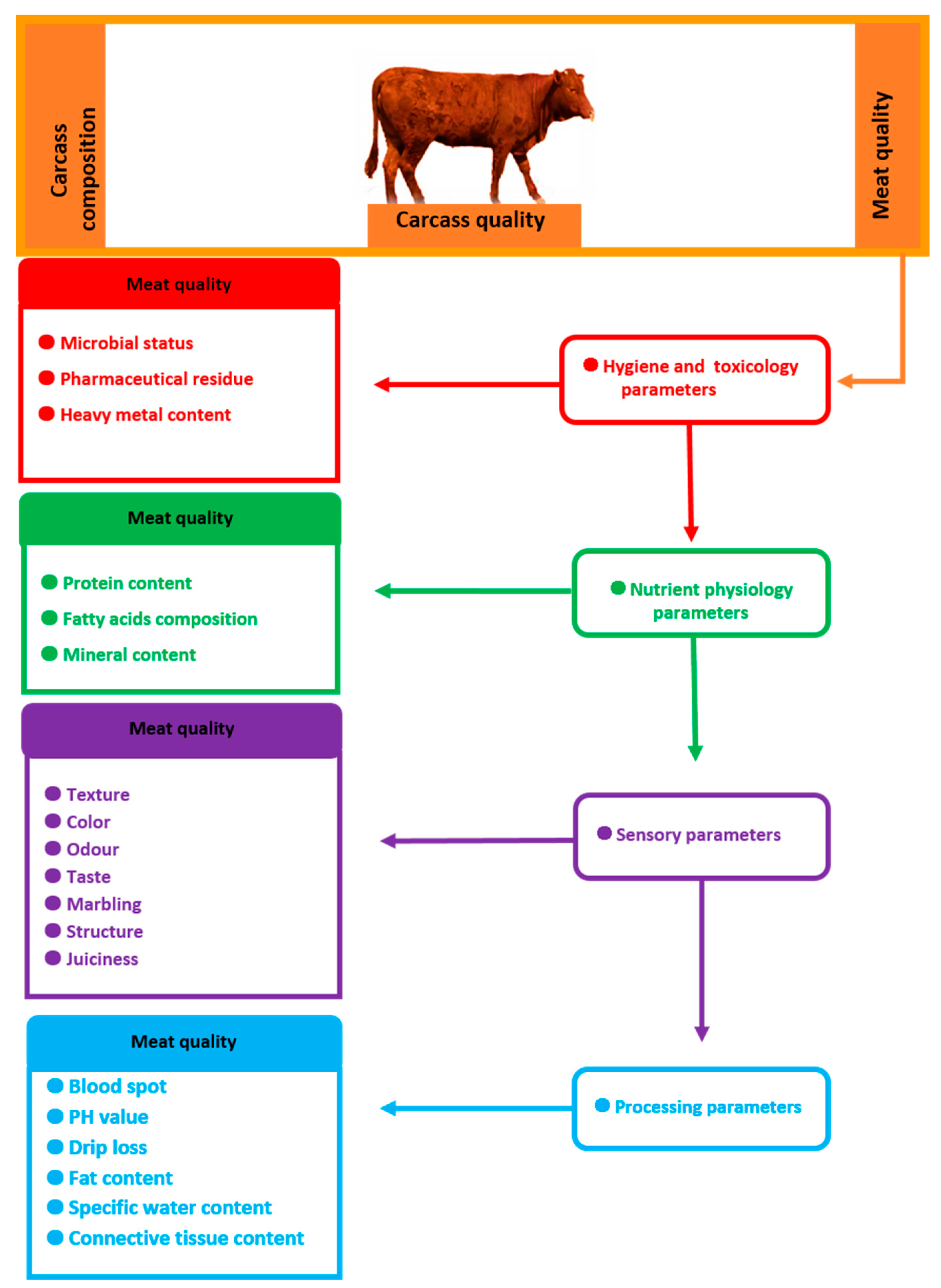 Genes | Free Full-Text | Advances of Molecular Markers and Their Application for Body Variables and Carcass Traits in Qinchuan Cattle Genes | Free Full-Text | Advances of Molecular Markers and Their Application for Body Variables and Carcass Traits in Qinchuan Cattle