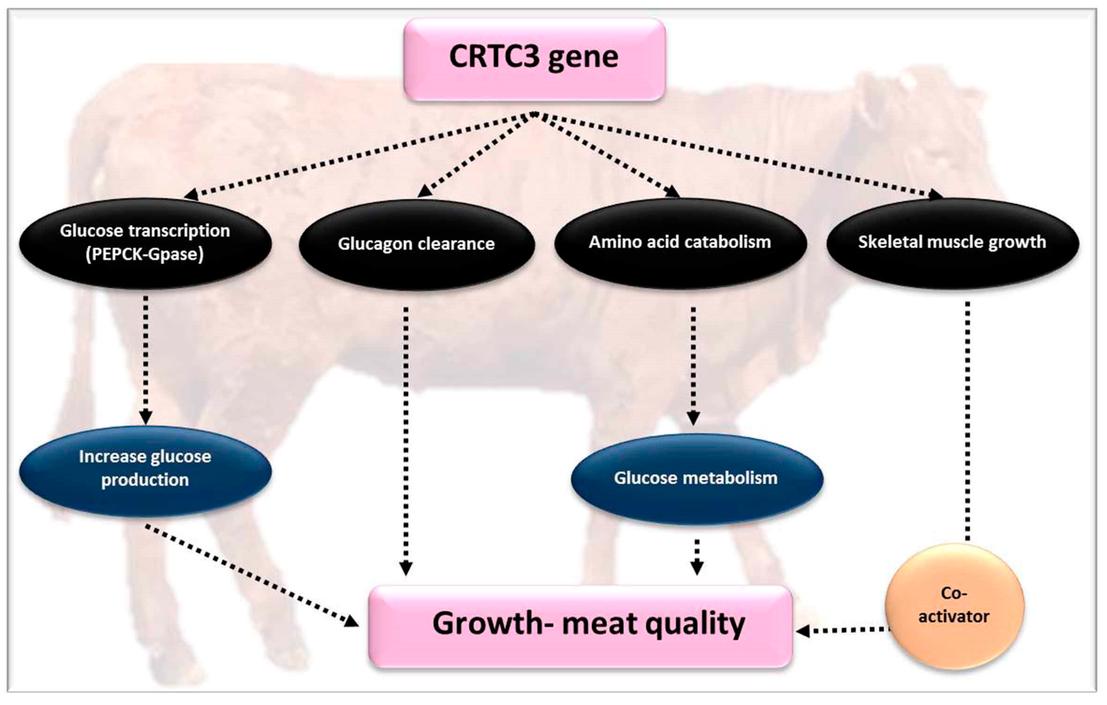 Genes 10 00717 g006 Genes 10 00717 g006