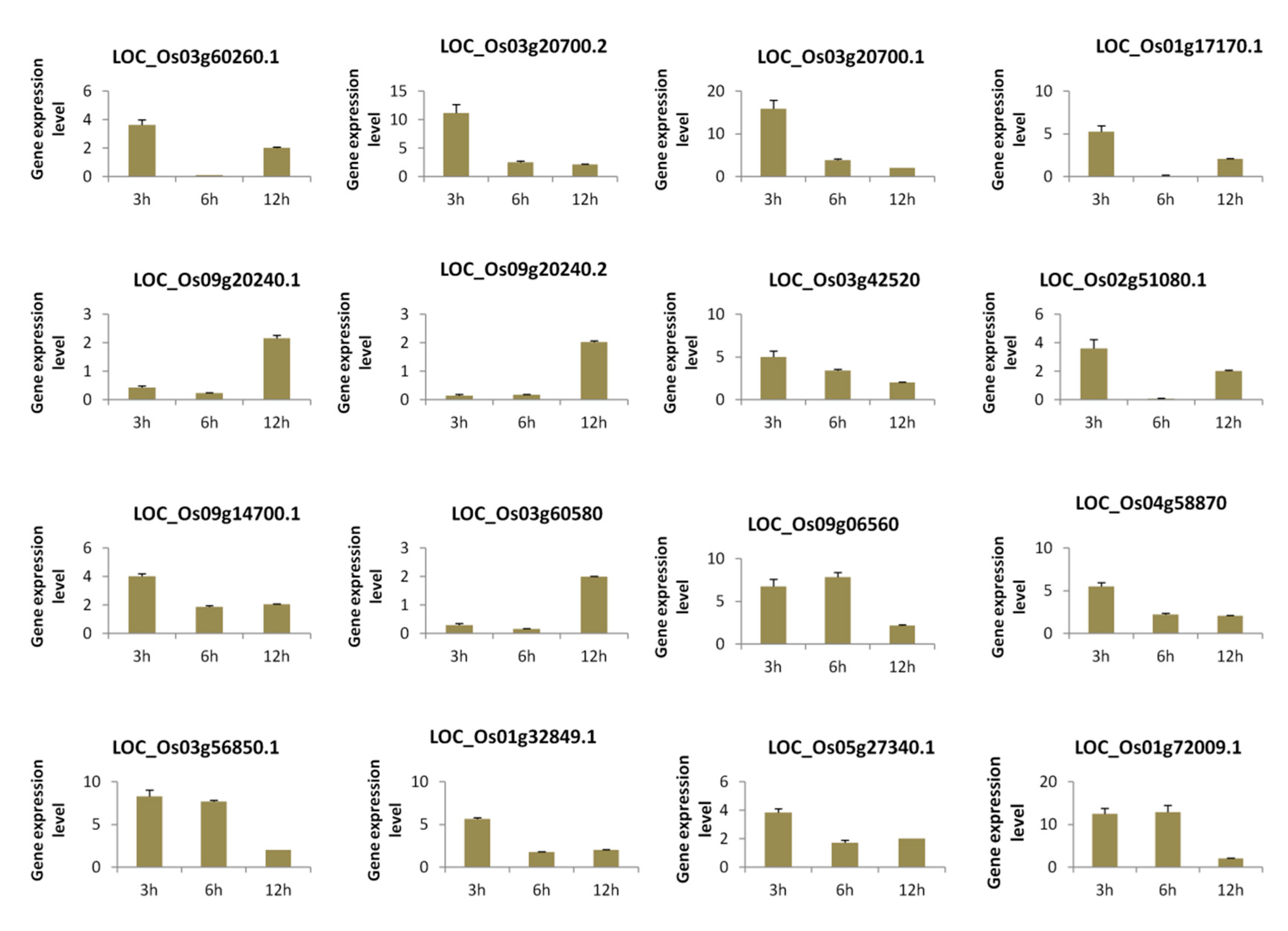 Genes 10 00719 g006 Genes 10 00719 g006