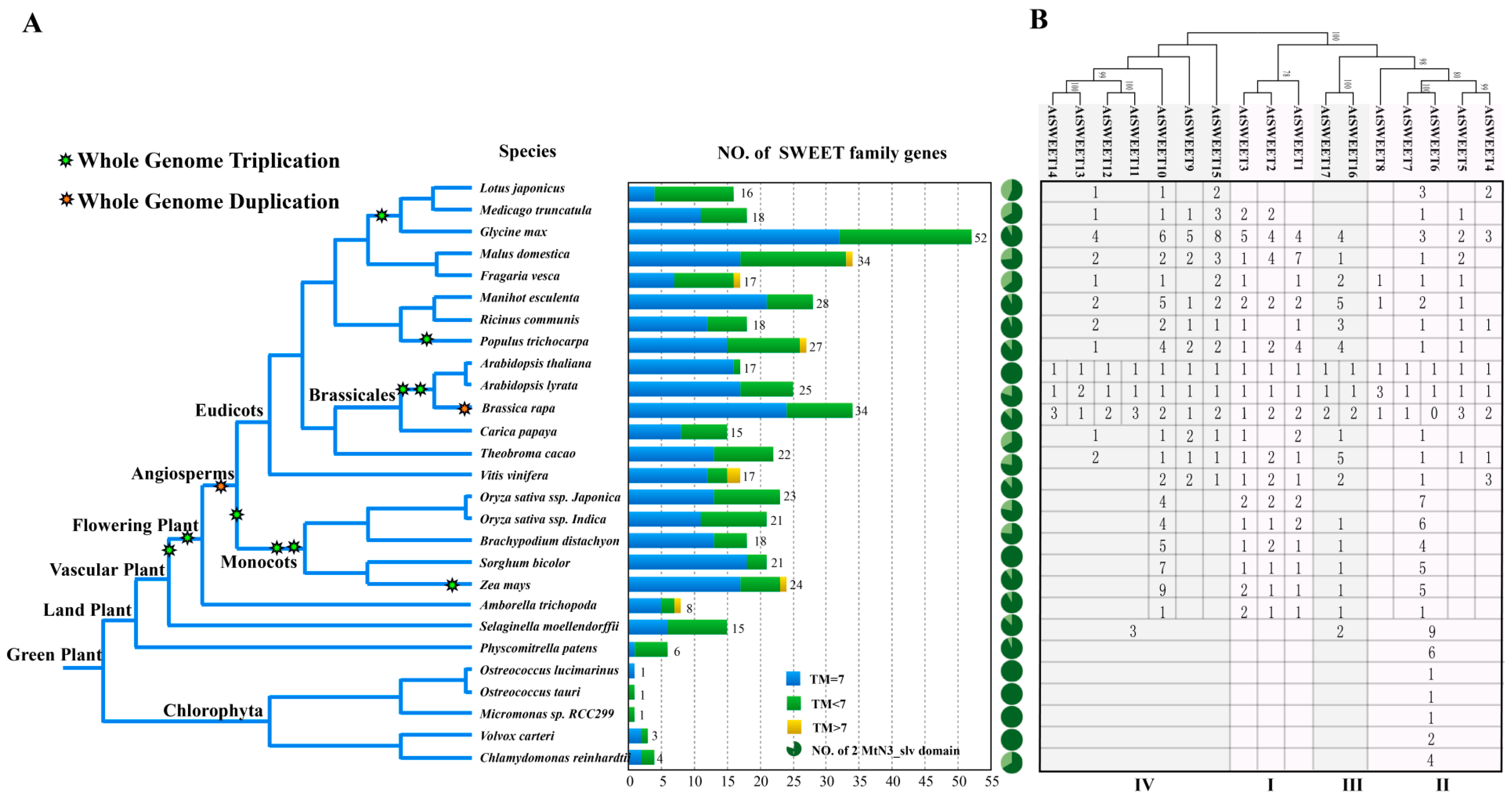 Genes 10 00722 g001 Genes 10 00722 g001