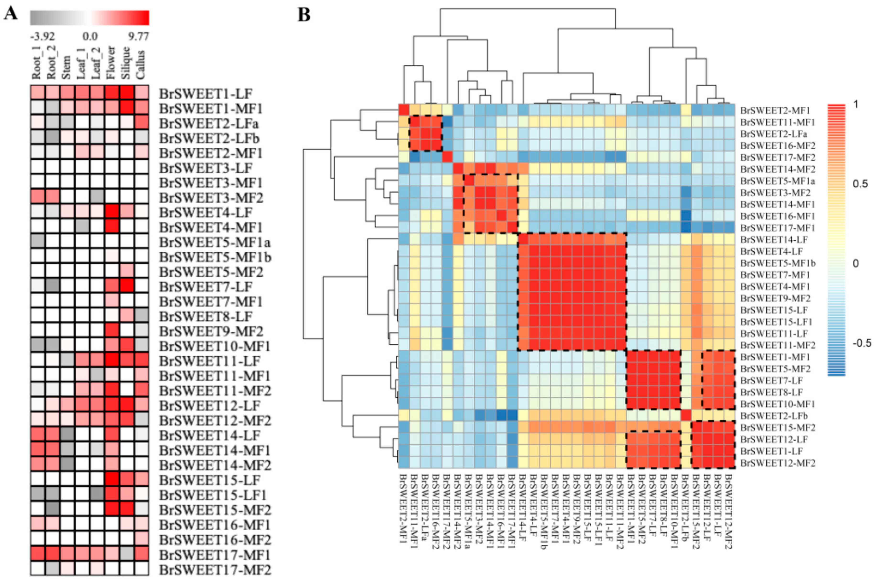 Genes 10 00722 g004 Genes 10 00722 g004