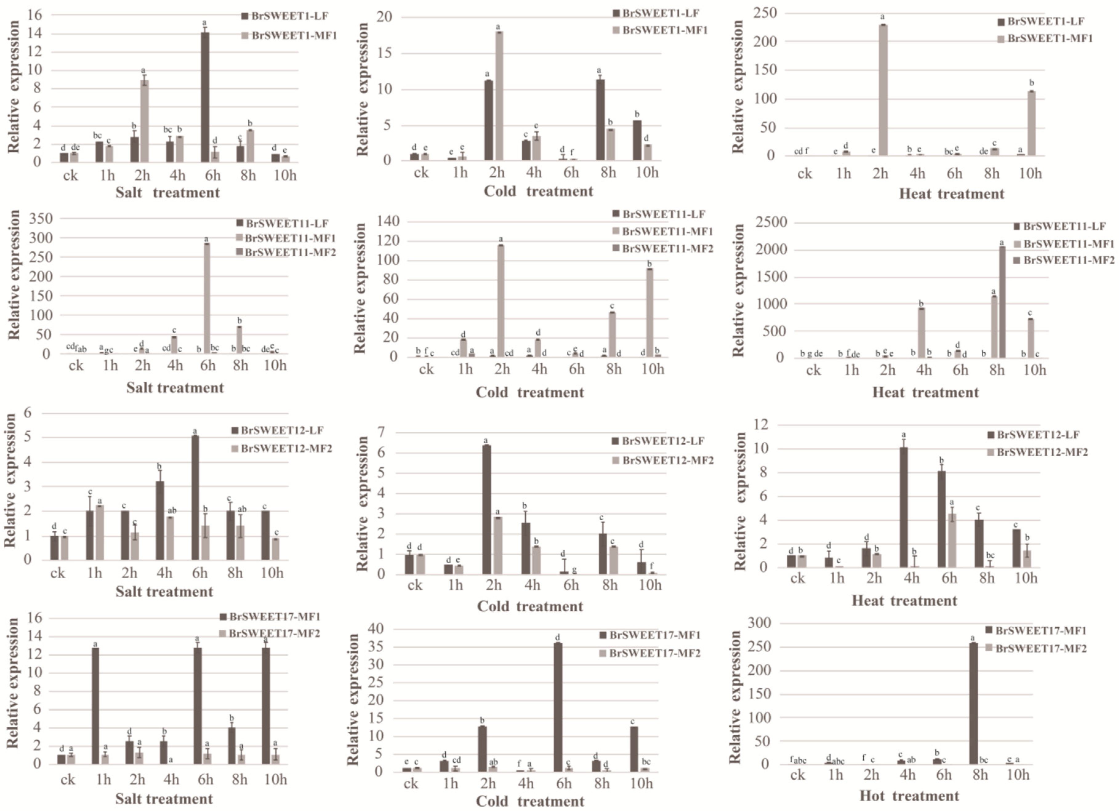 Genes 10 00722 g005 Genes 10 00722 g005