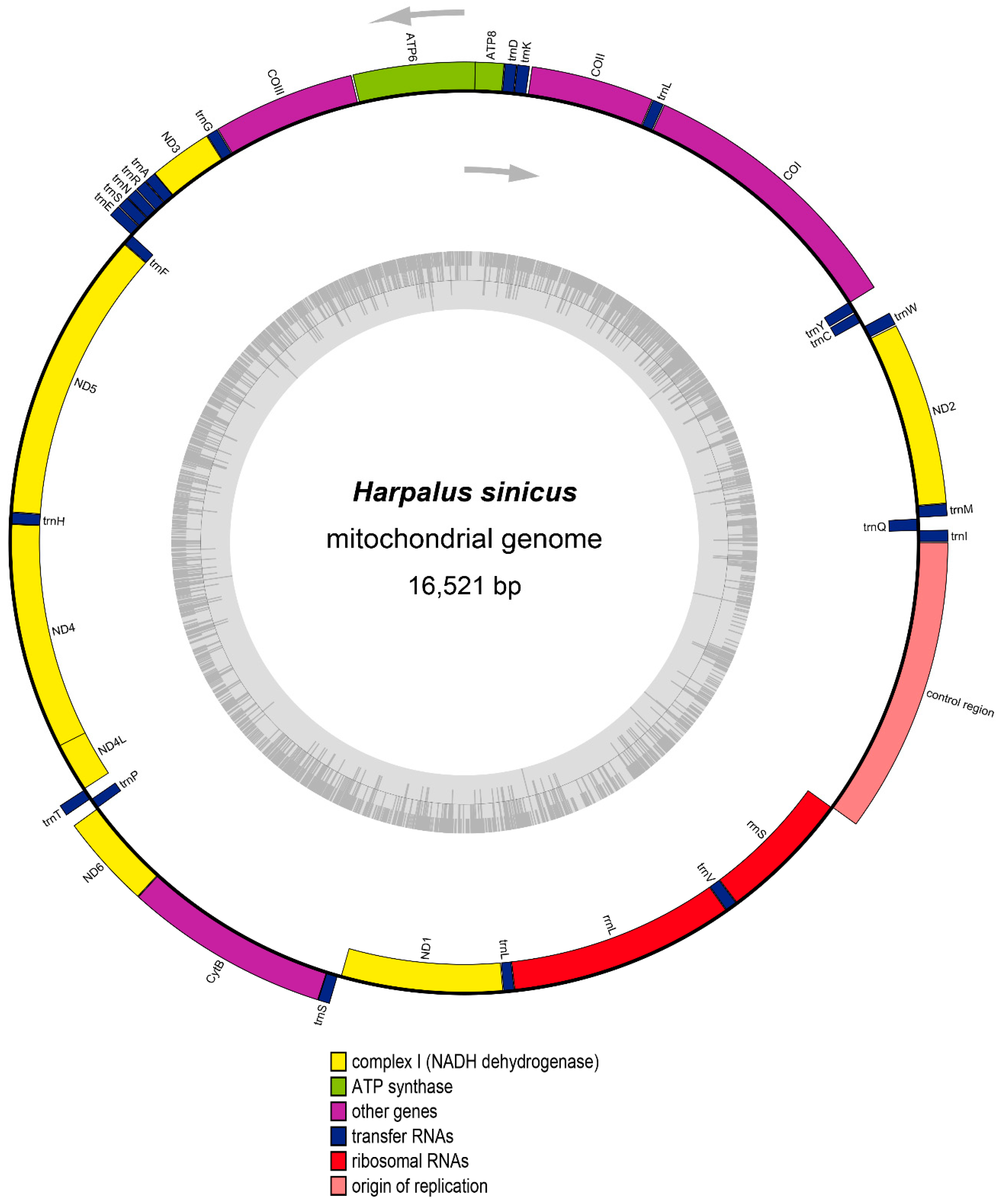 Genes 10 00724 g001 550
