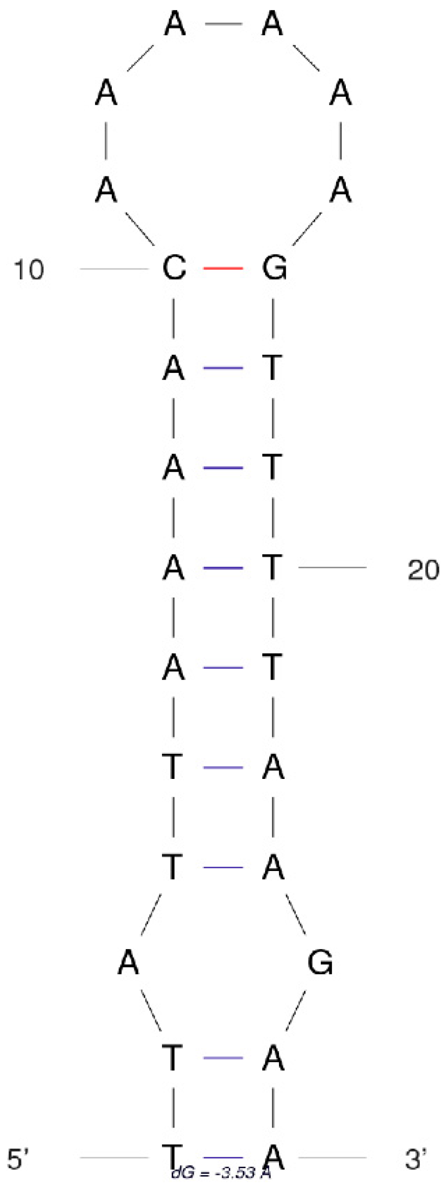 Genes 10 00724 g002 550