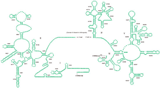 Genes September 19 Browse Articles Genes September 19 Browse Articles