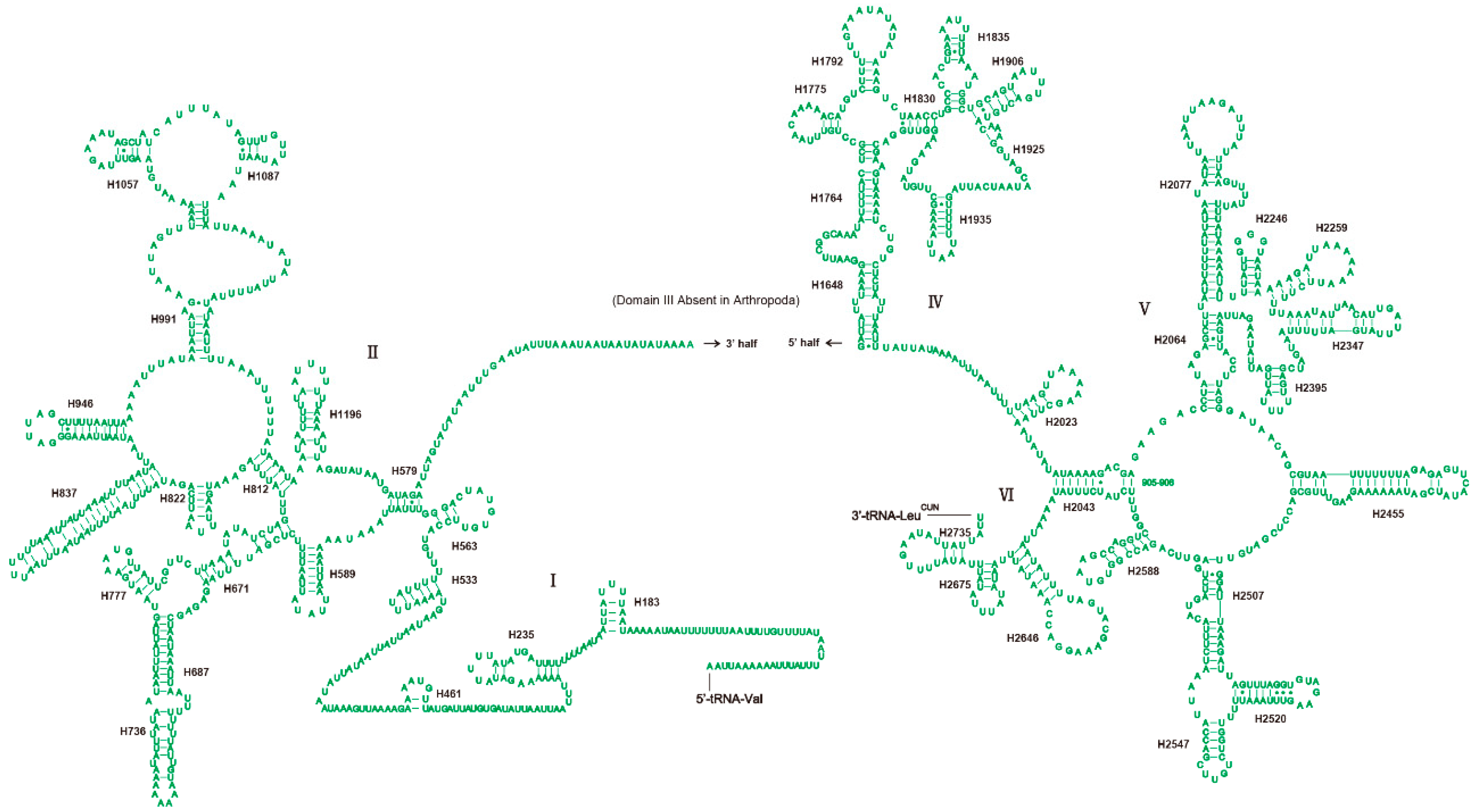 Genes 10 00724 g005 550