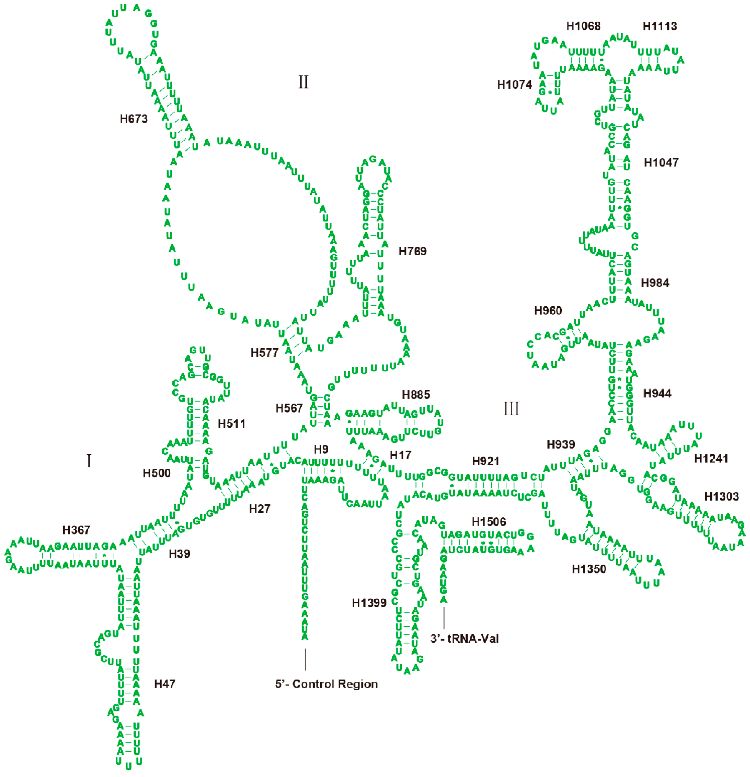 Genes 10 00724 g006 550