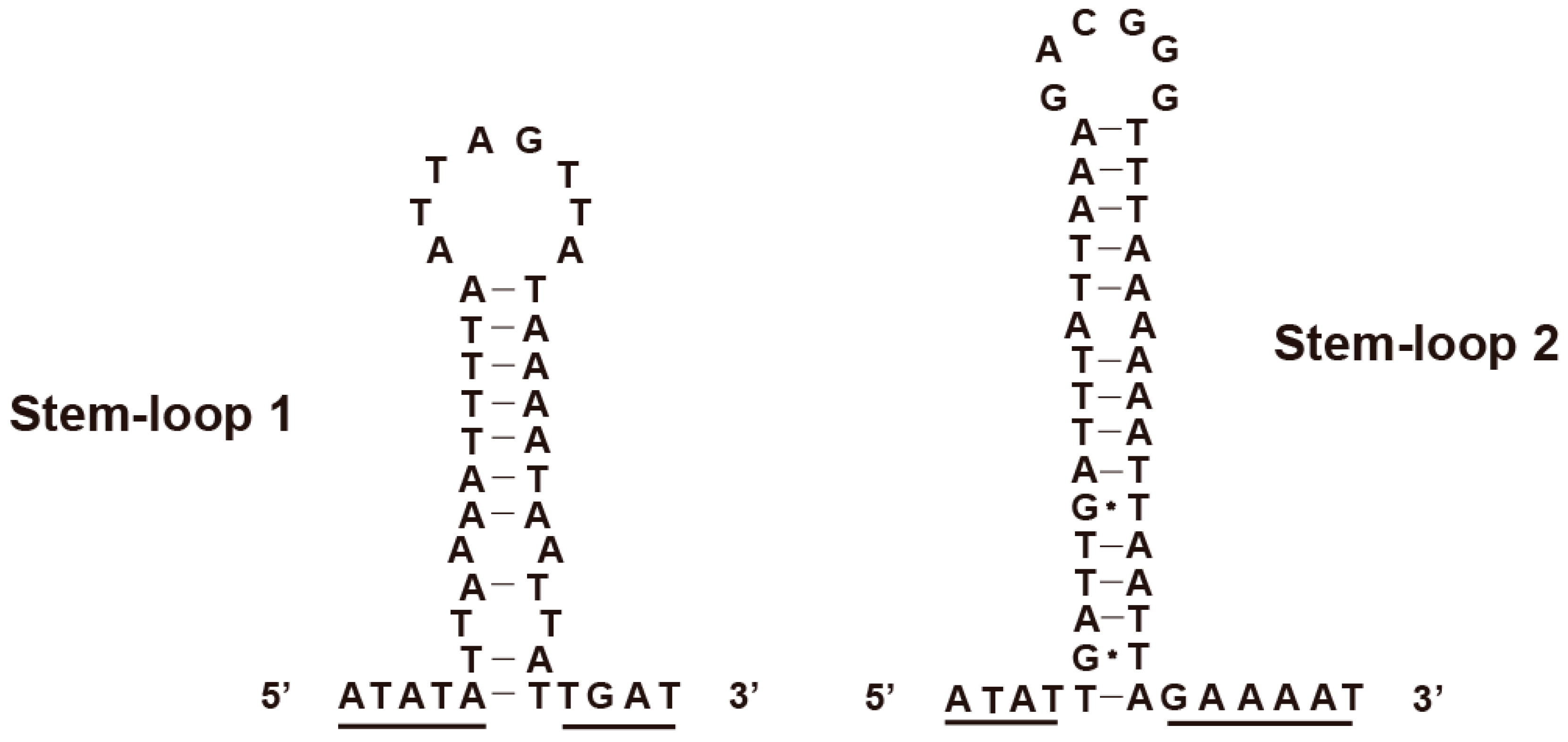 Genes 10 00724 g007 550