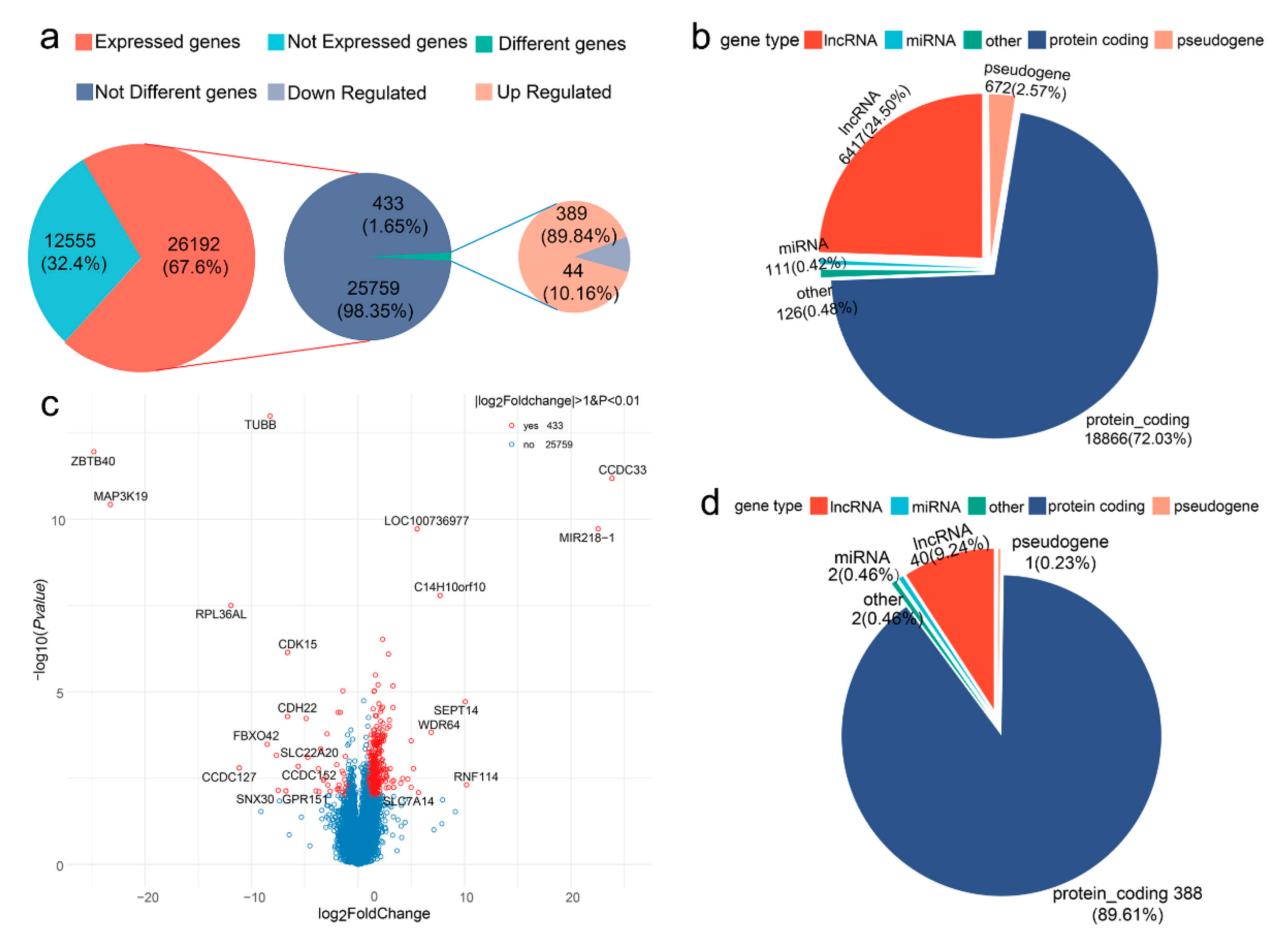 Gene Ontology Pie Chart