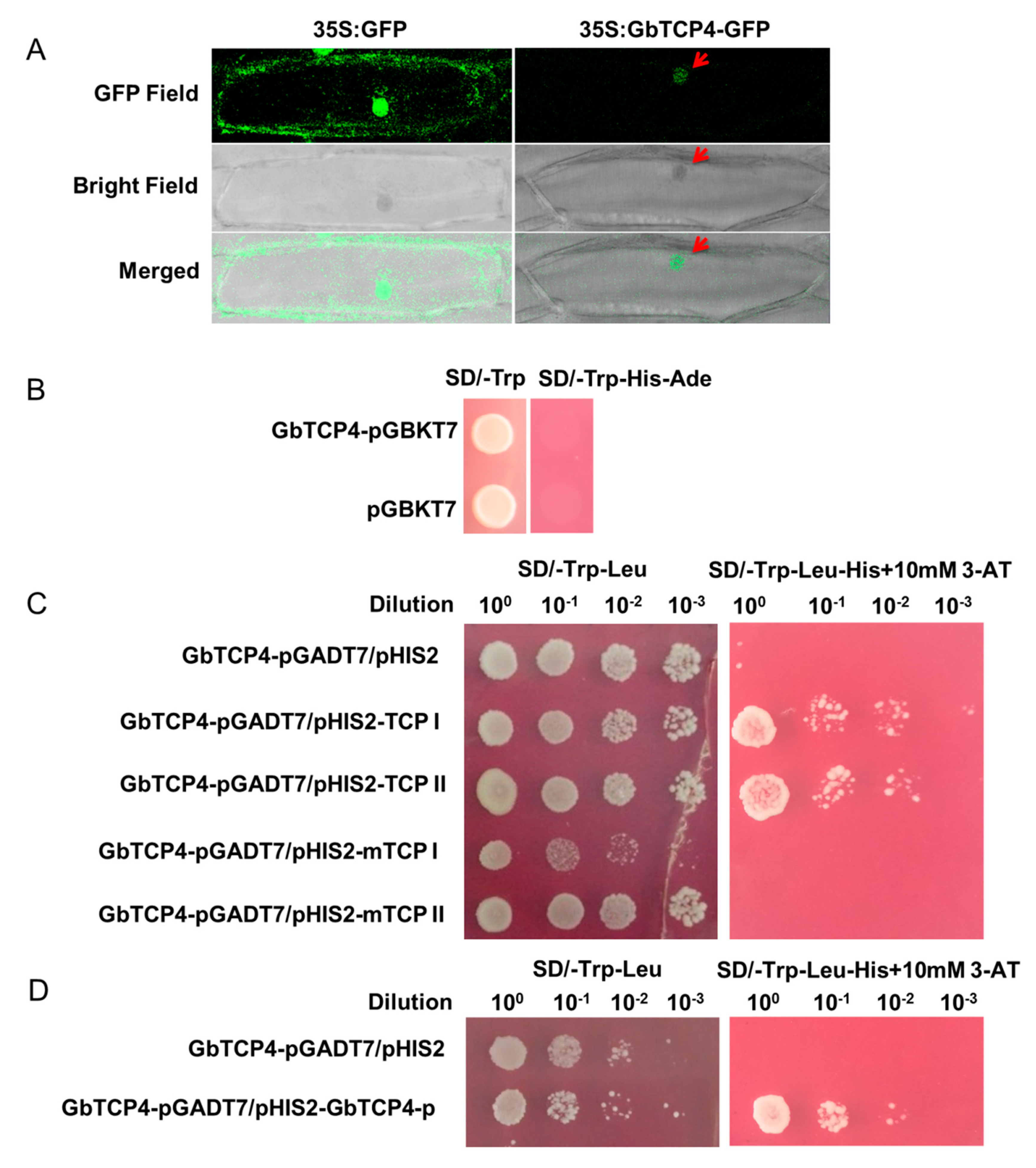 Genes 10 00726 g002 Genes 10 00726 g002