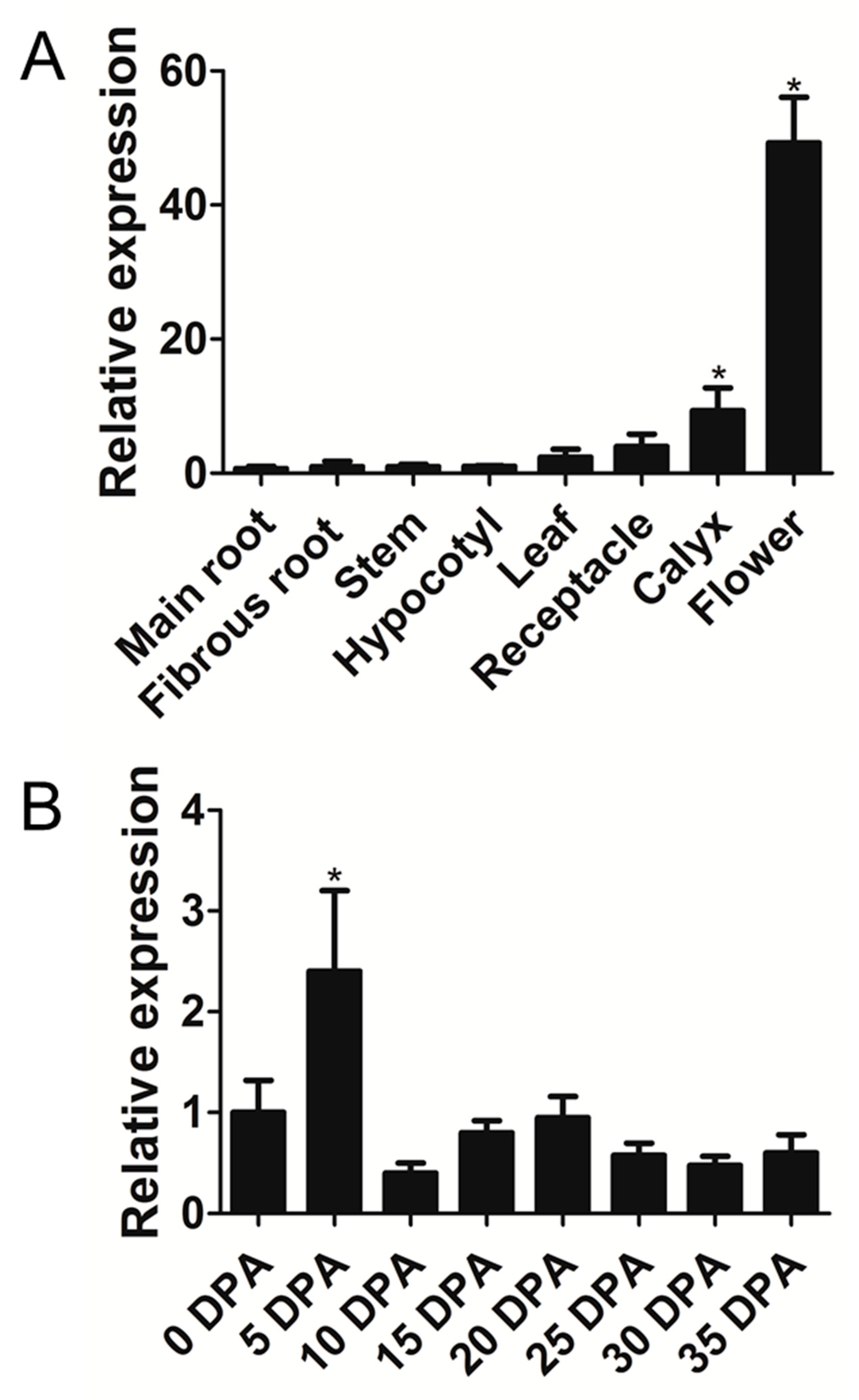 Genes 10 00726 g003 Genes 10 00726 g003