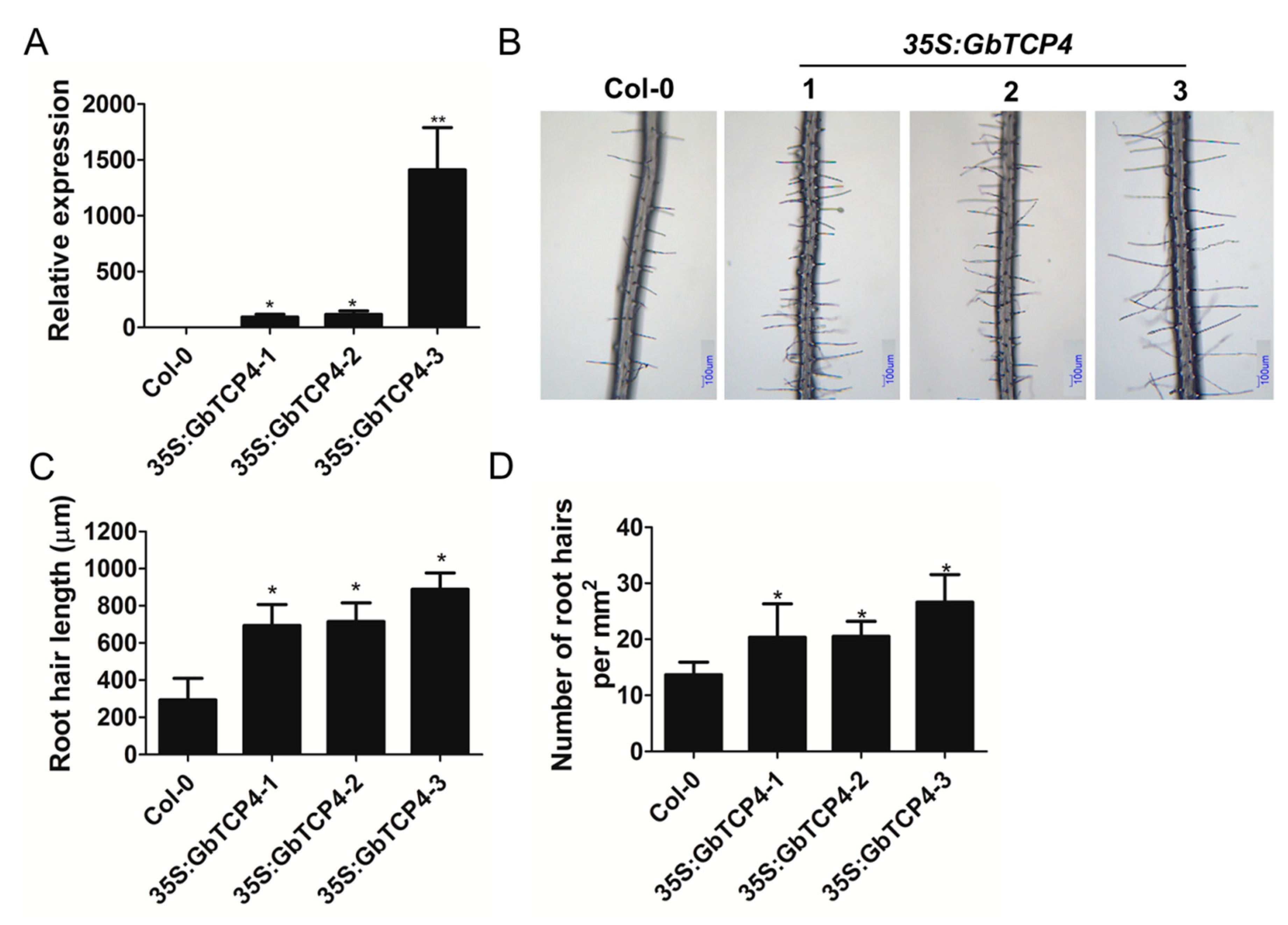 Genes 10 00726 g004 Genes 10 00726 g004