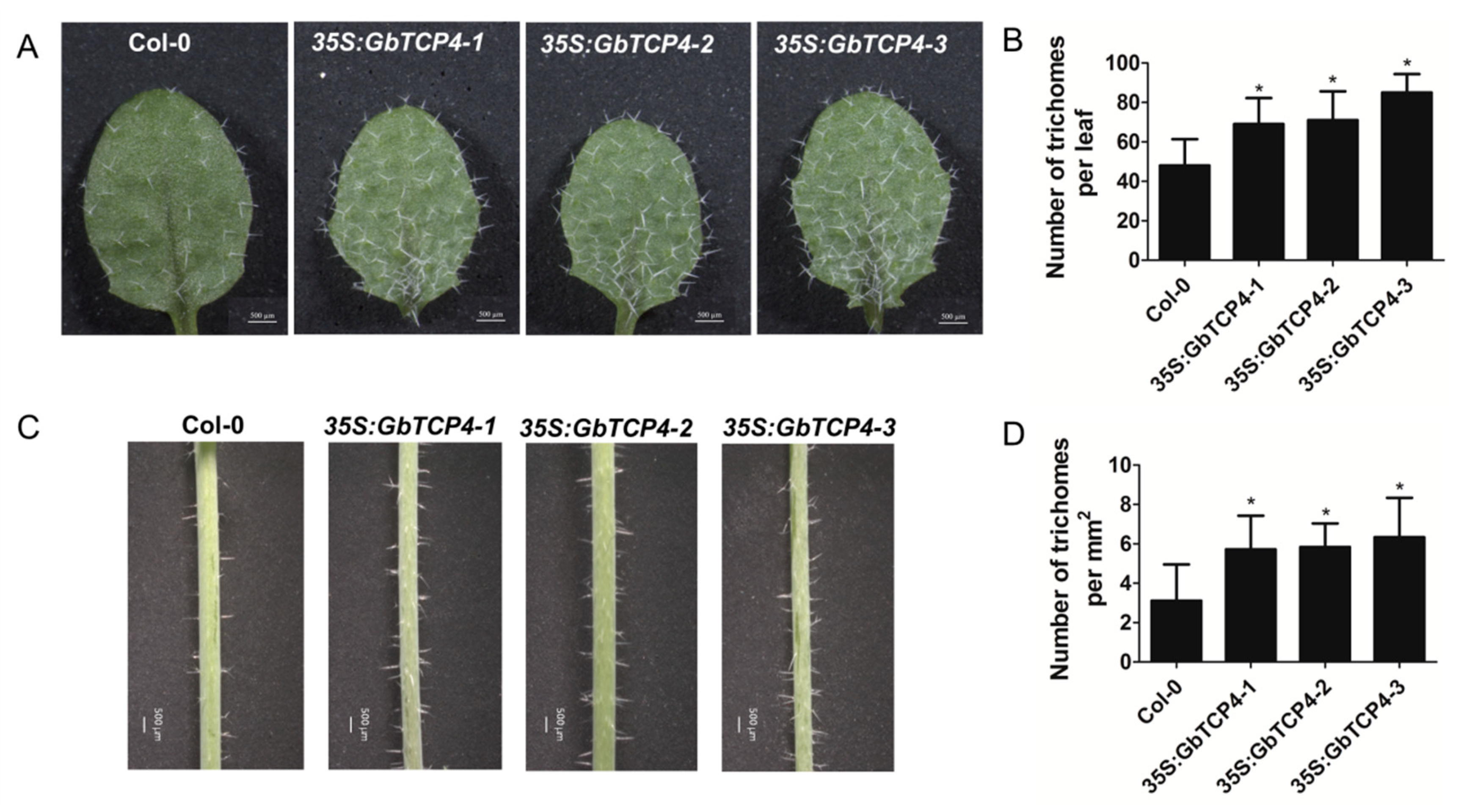 Genes 10 00726 g005 Genes 10 00726 g005