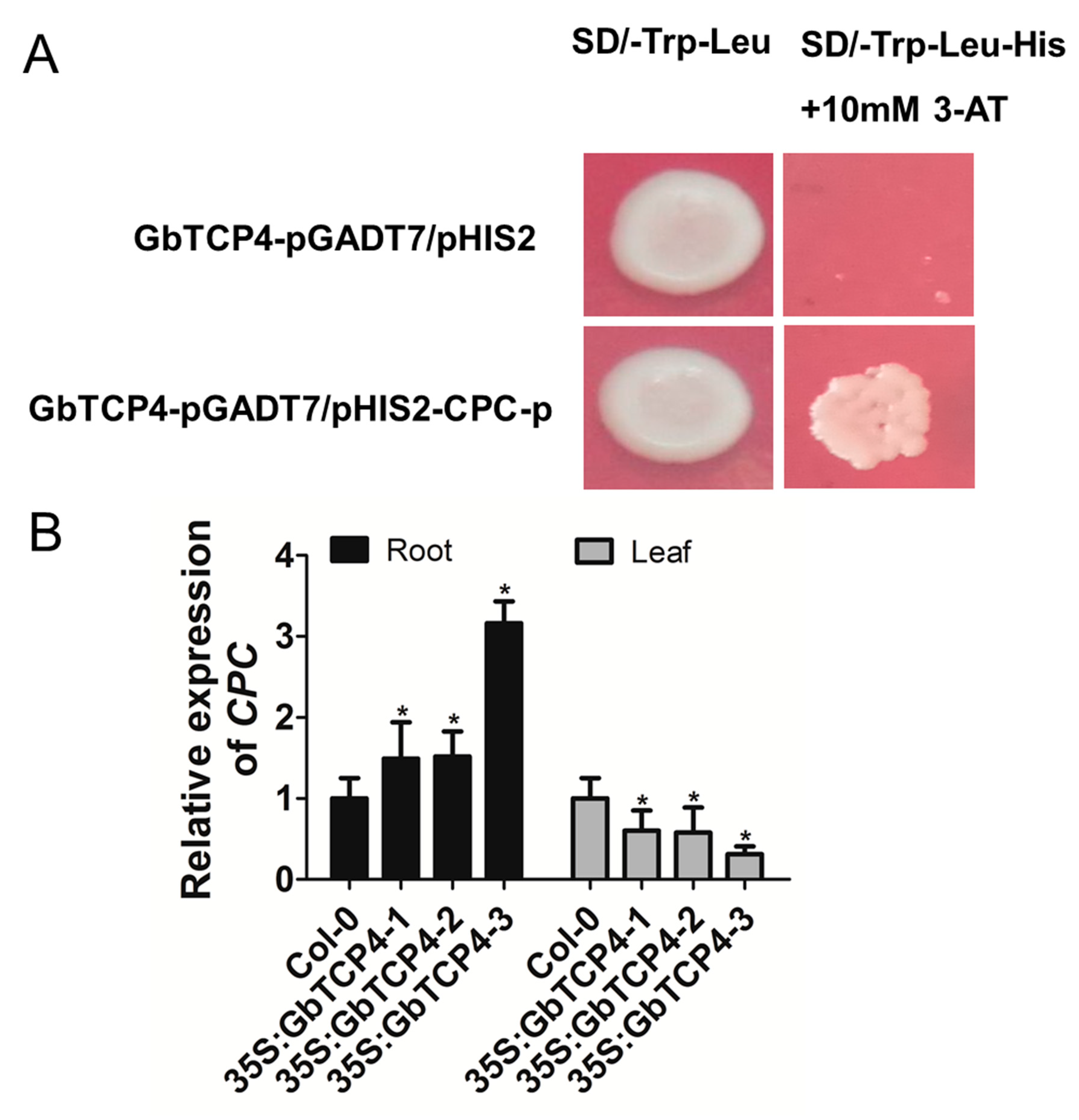 Genes 10 00726 g007 Genes 10 00726 g007