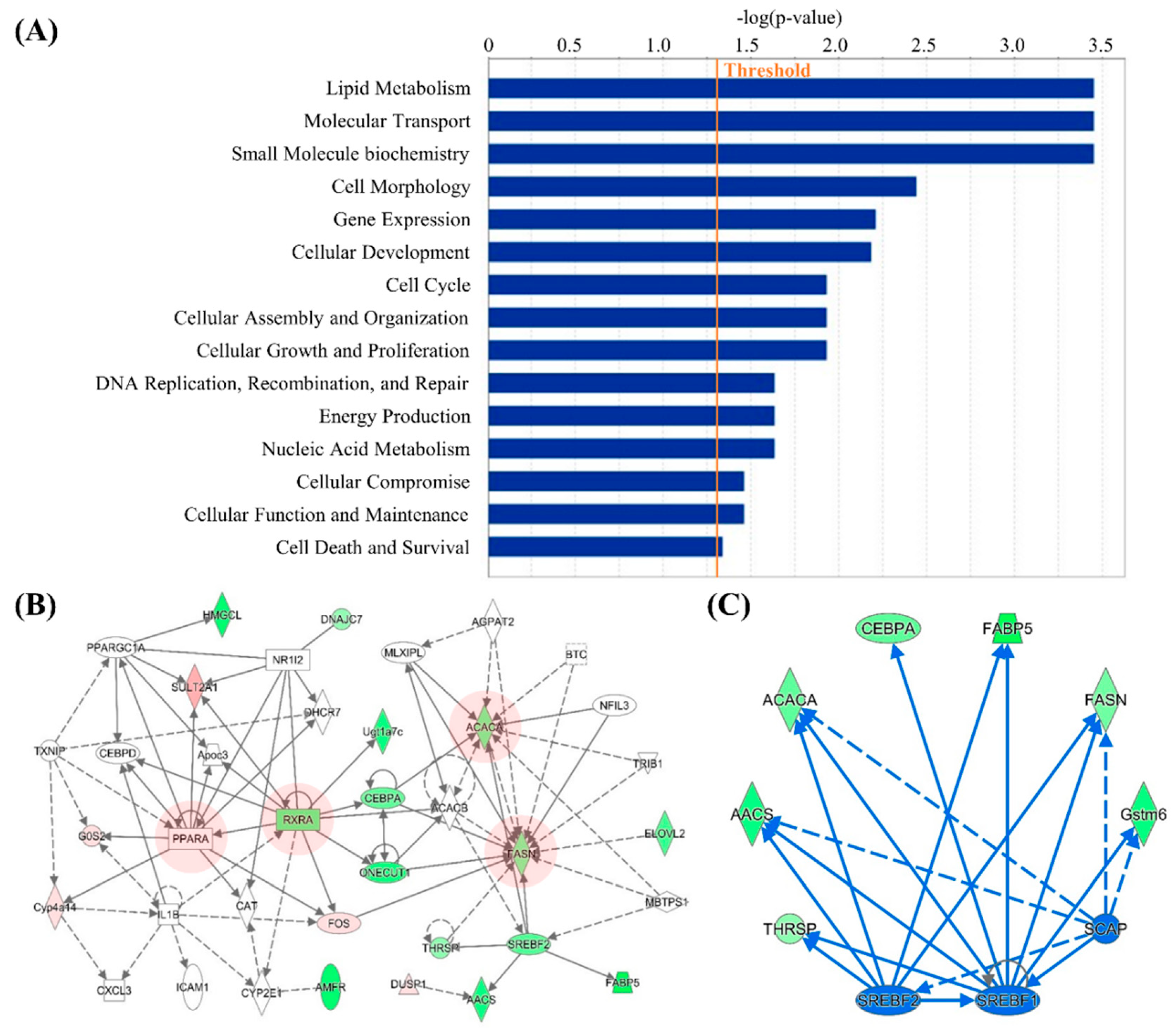 Genes 10 00728 g004 Genes 10 00728 g004
