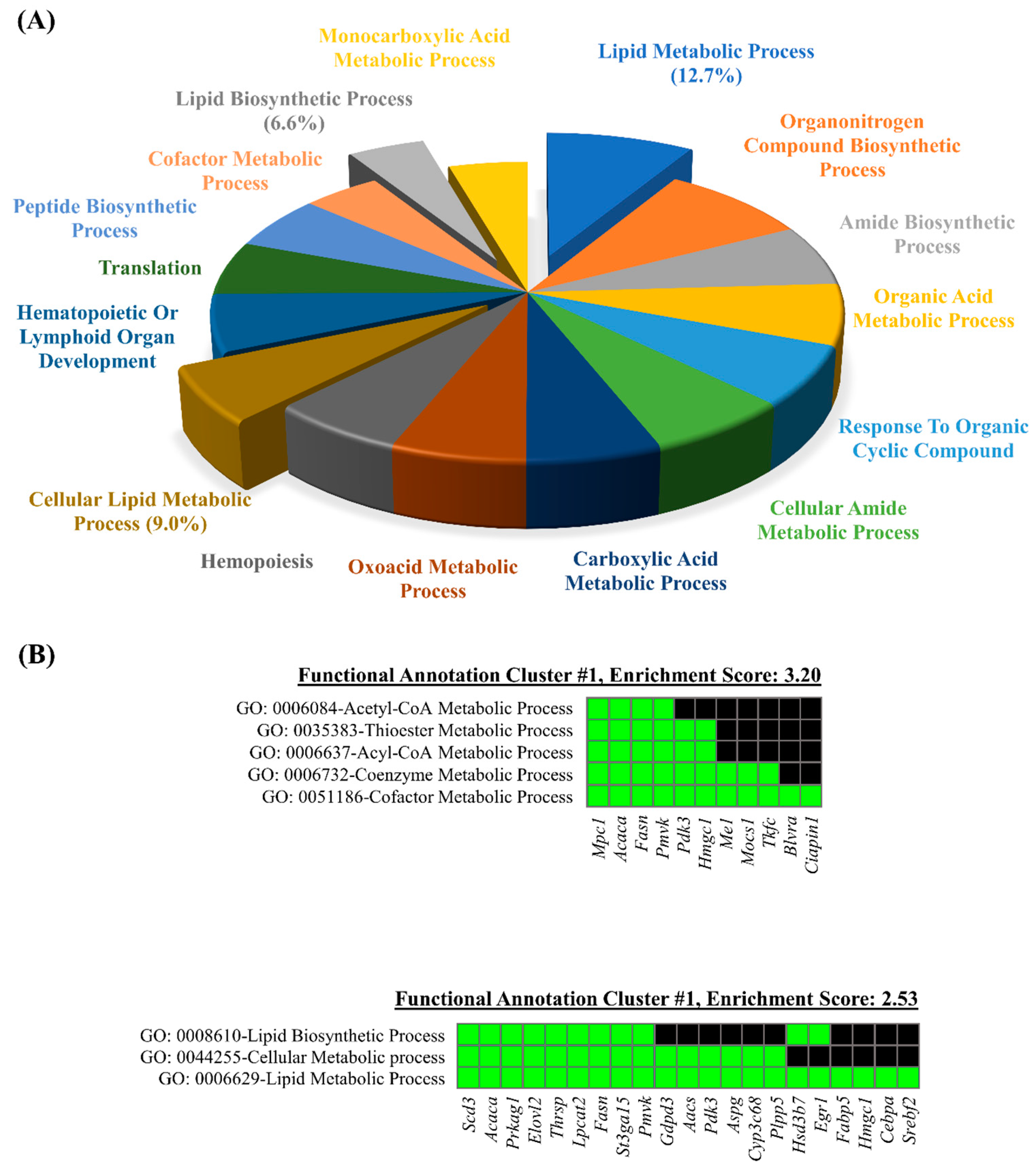 Genes 10 00728 g005 Genes 10 00728 g005