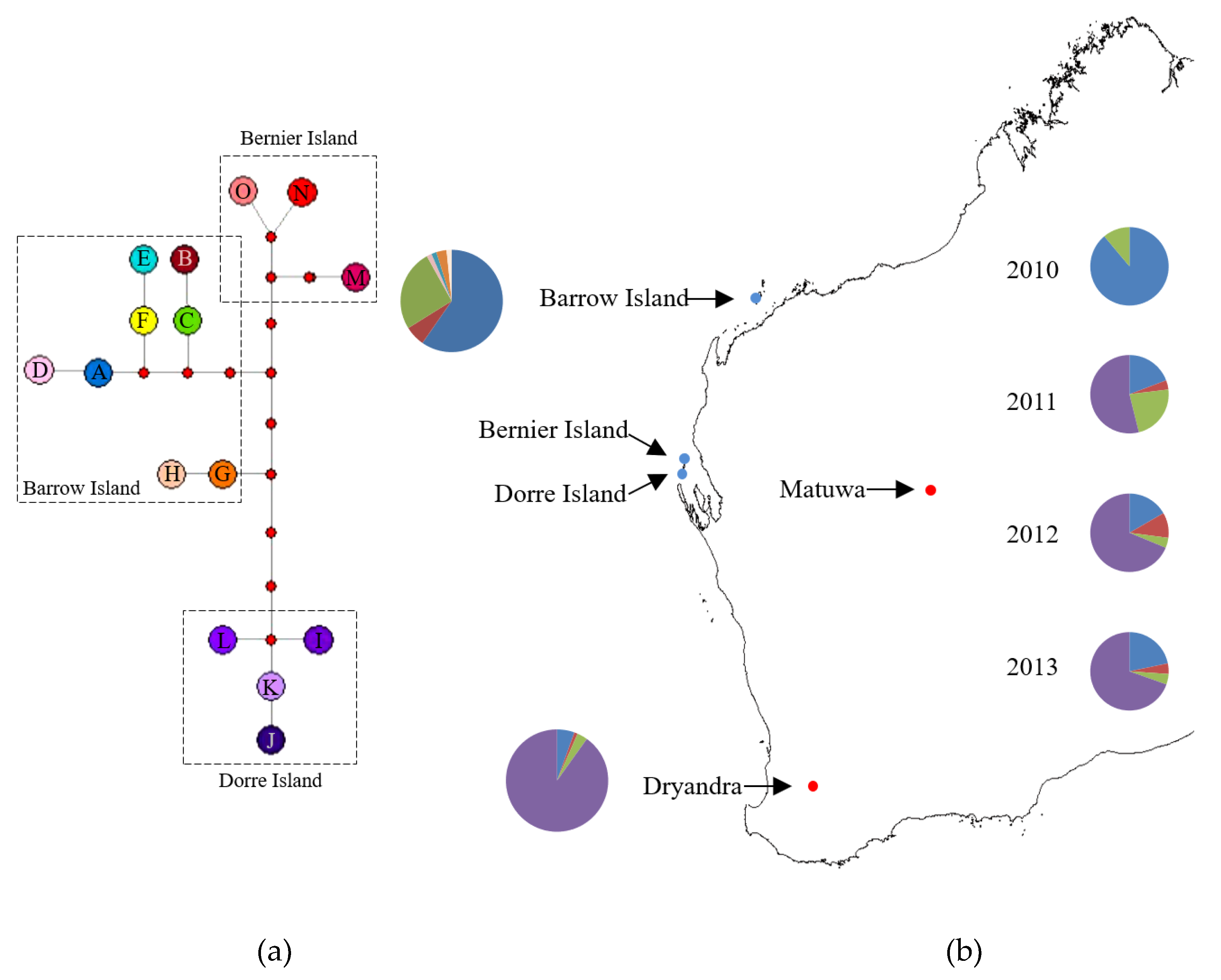 Genes 10 00729 g002 Genes 10 00729 g002