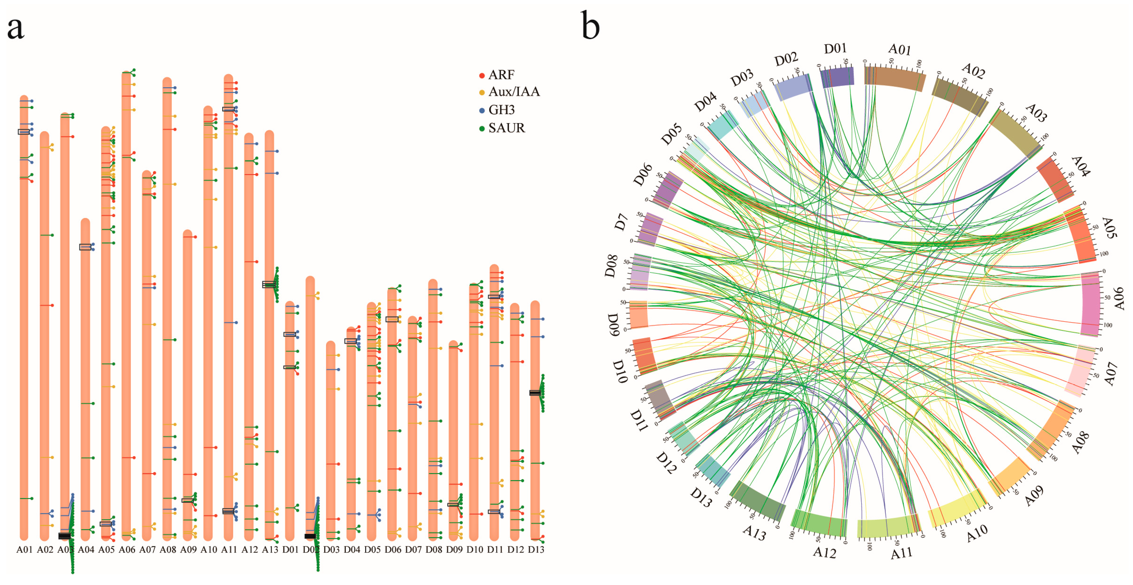 Genes 10 00730 g002 Genes 10 00730 g002